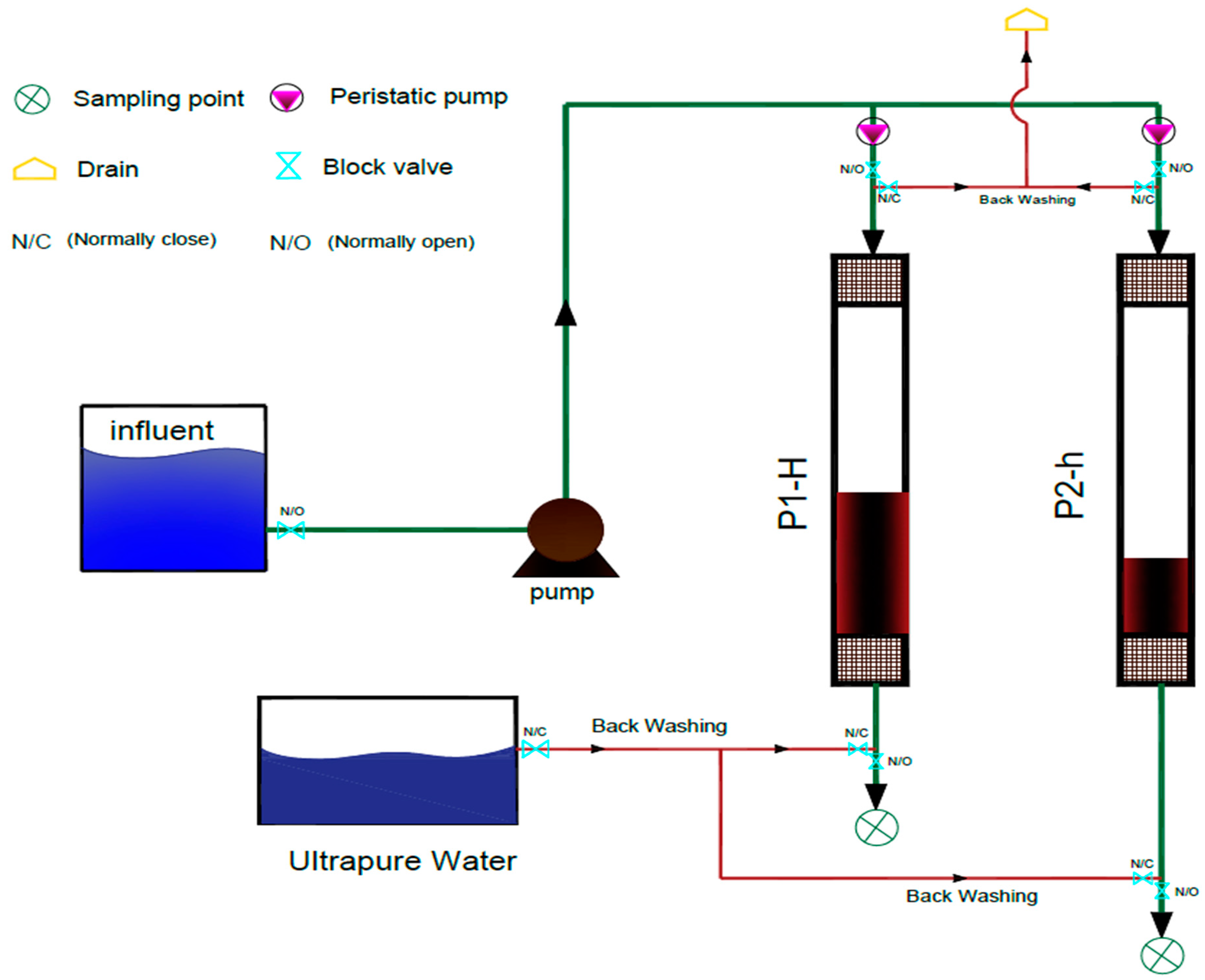 Water 16 03304 g001 Water 16 03304 g001