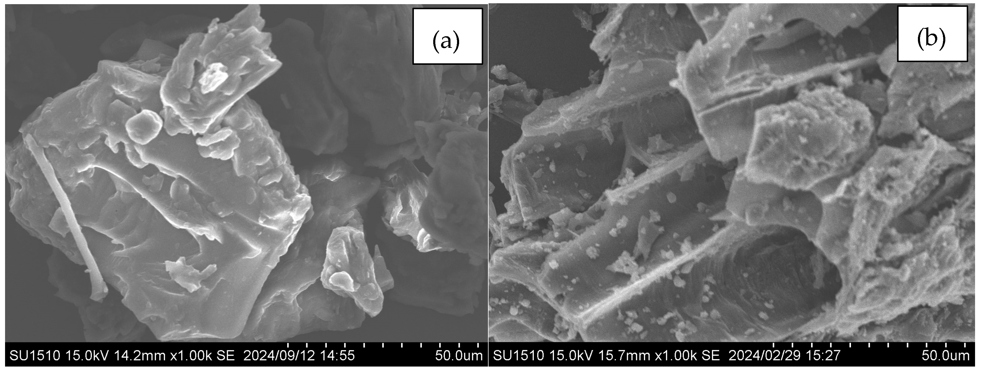 Water 16 03469 g002a