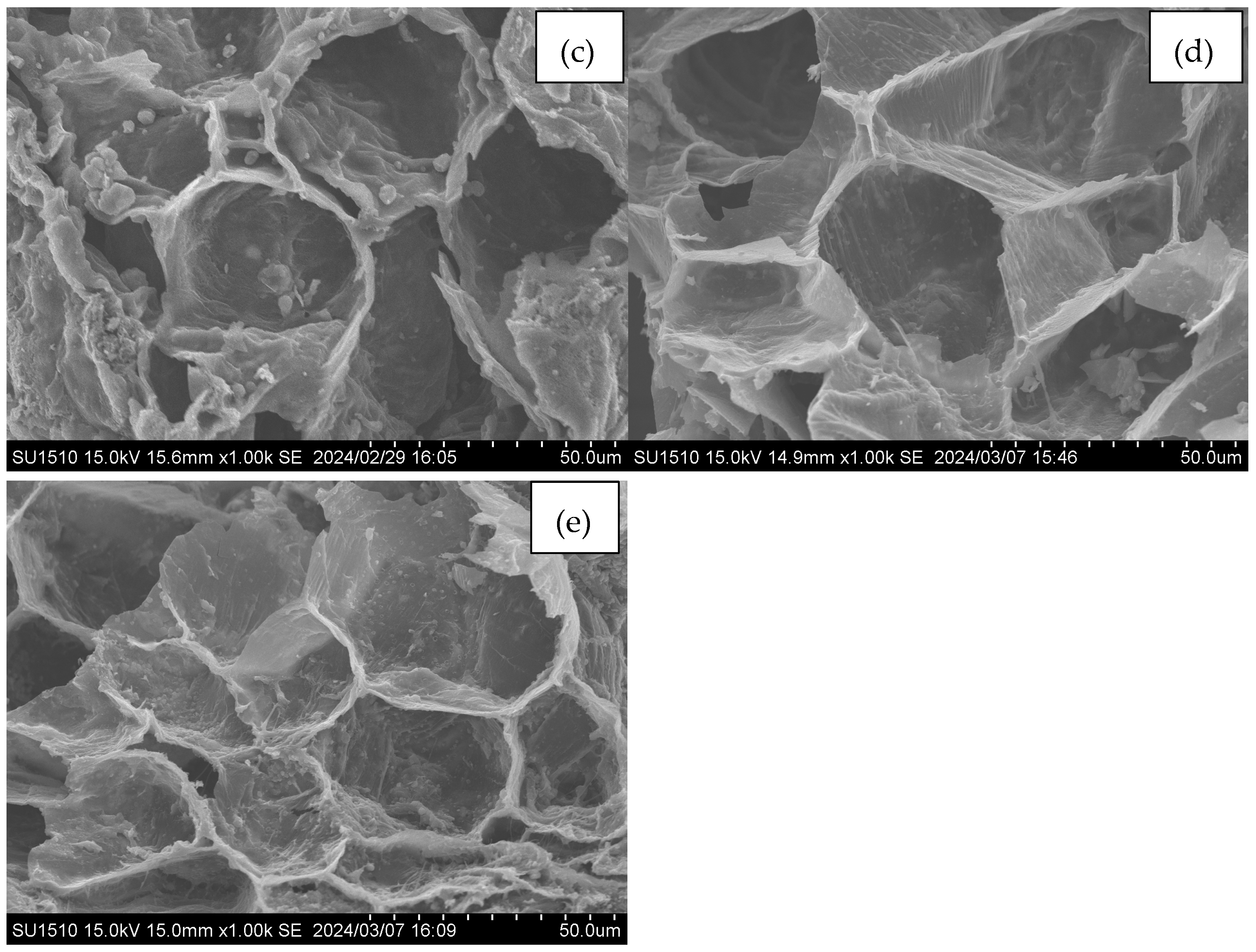 Water 16 03469 g002b