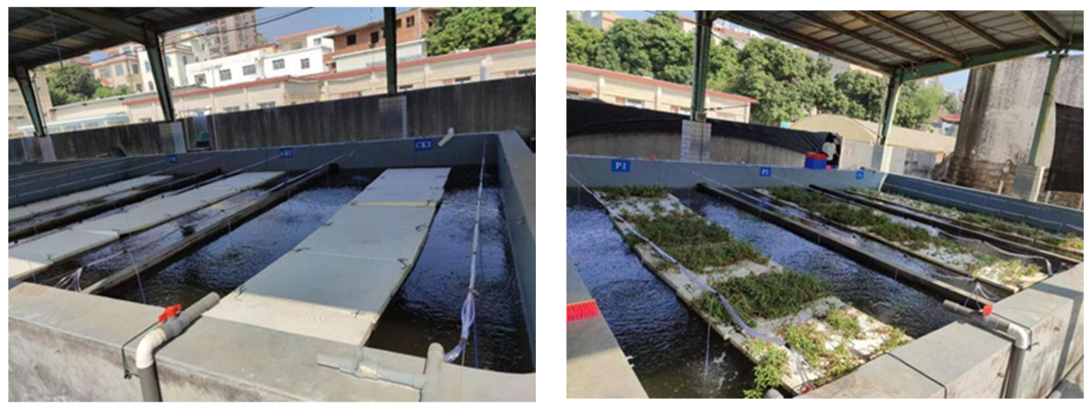 Water 16 03472 g001 Water 16 03472 g001