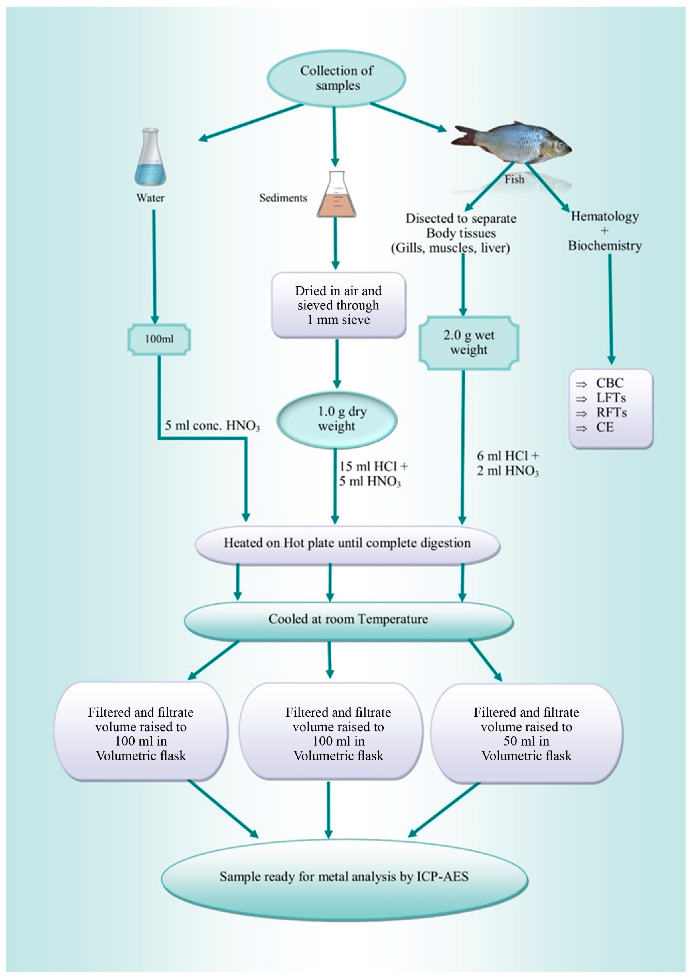 Water 16 03603 g001 Water 16 03603 g001