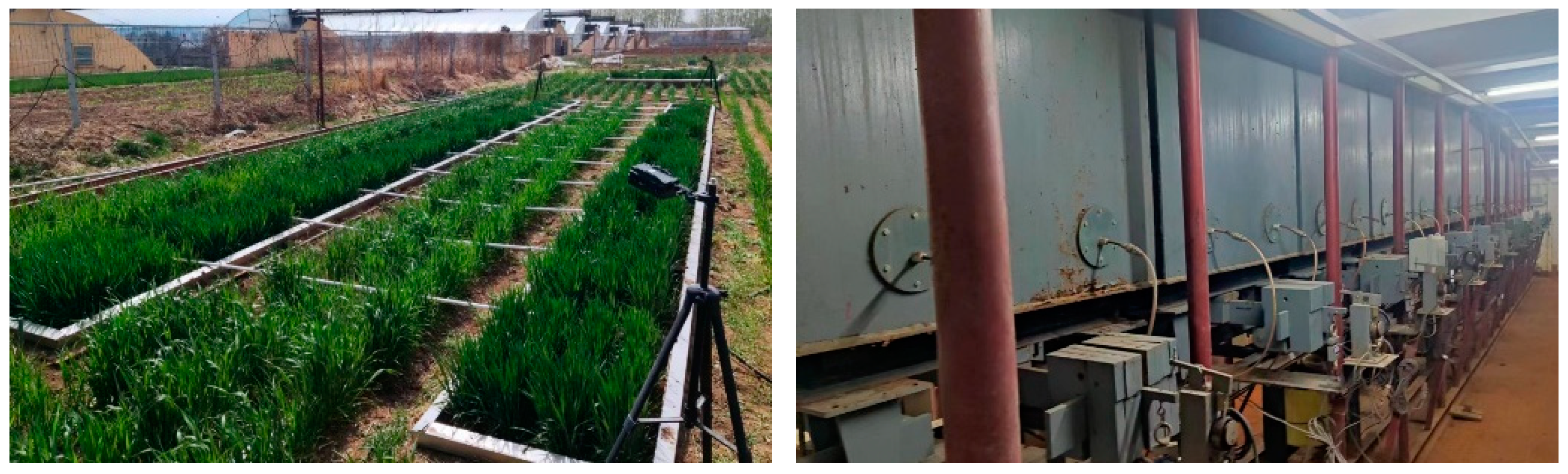 Water 17 00138 g002 Water 17 00138 g002