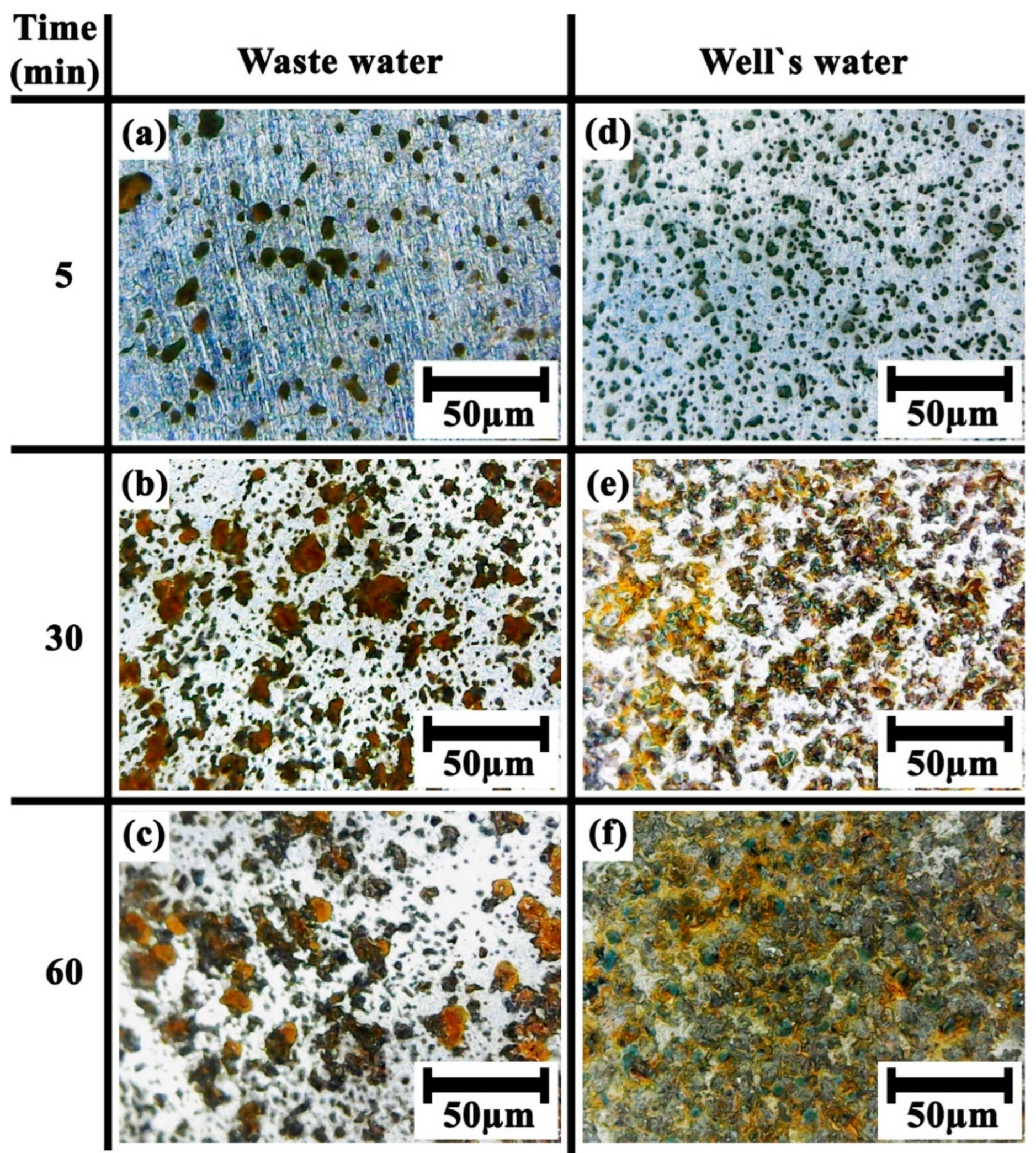 Water 17 00173 g009 Water 17 00173 g009