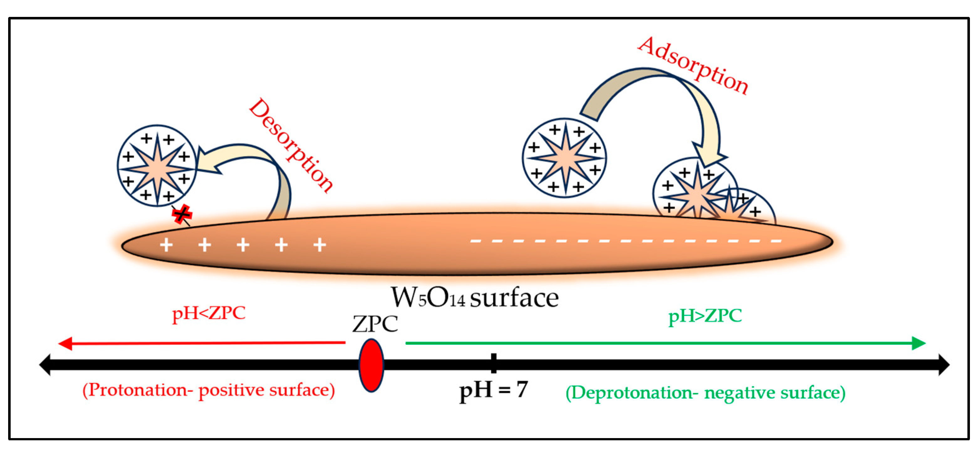 Water 17 00196 sch001