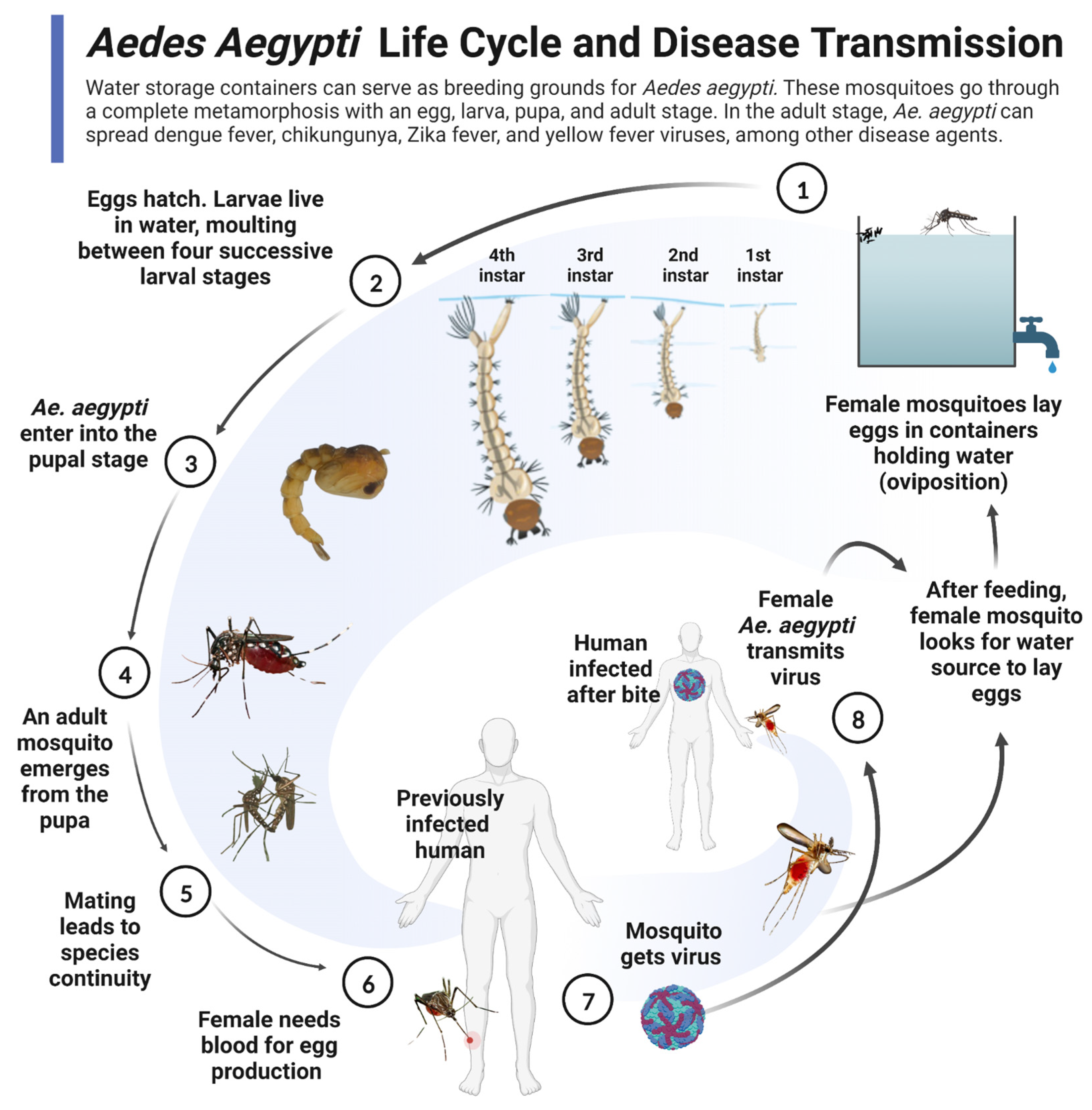 Water 17 00348 g001 Water 17 00348 g001