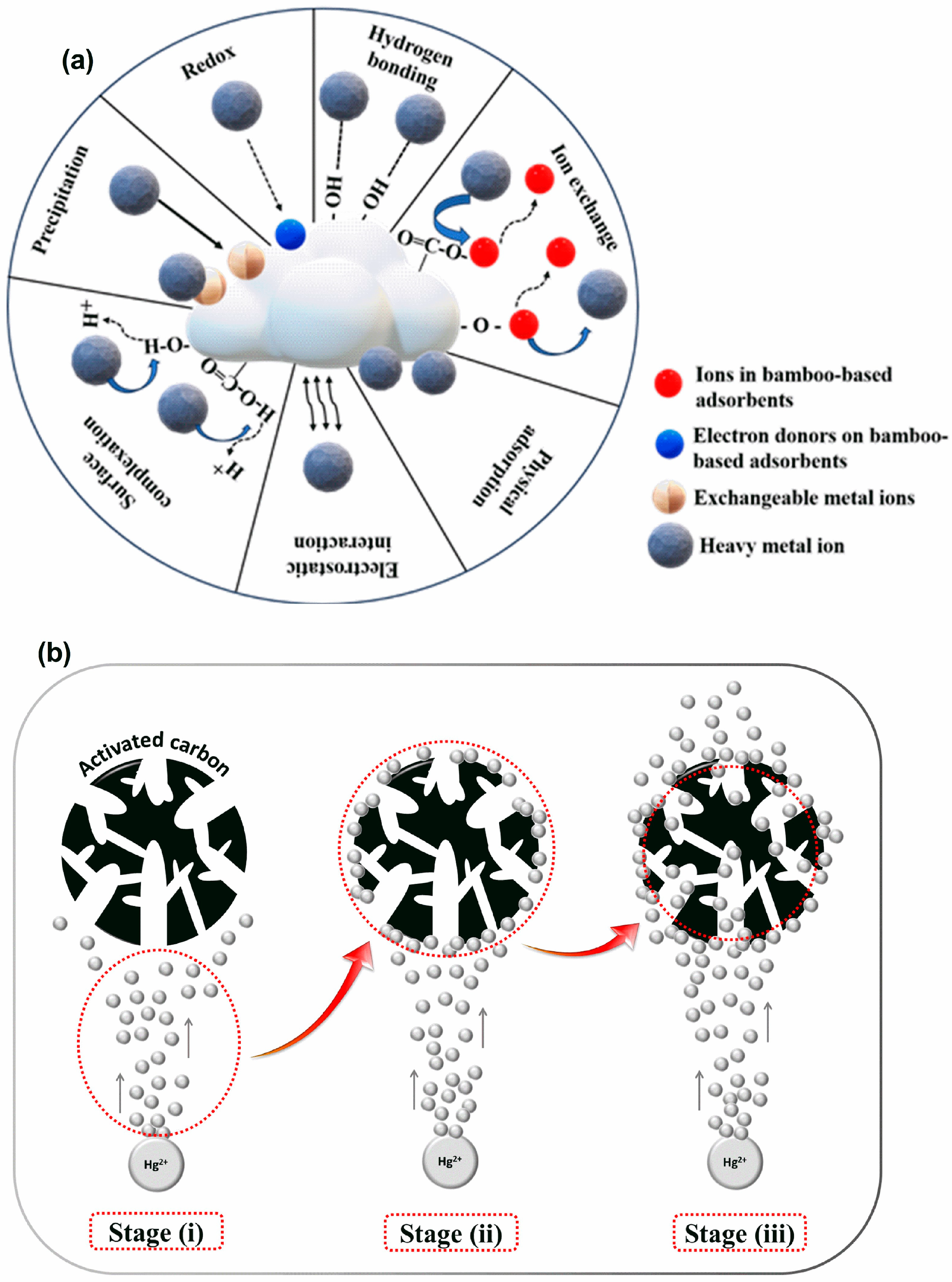 Water 17 00454 g010a