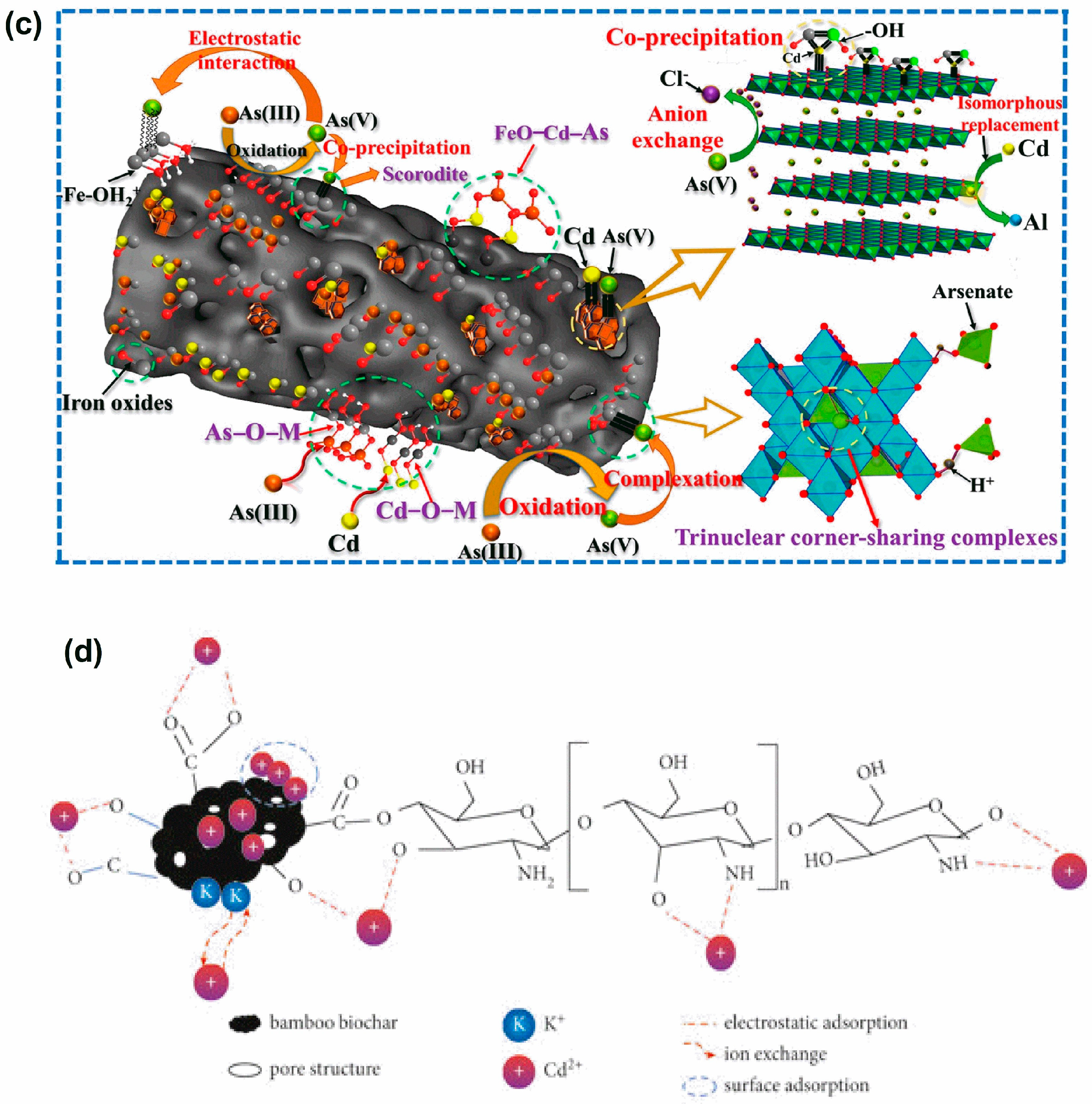 Water 17 00454 g010b