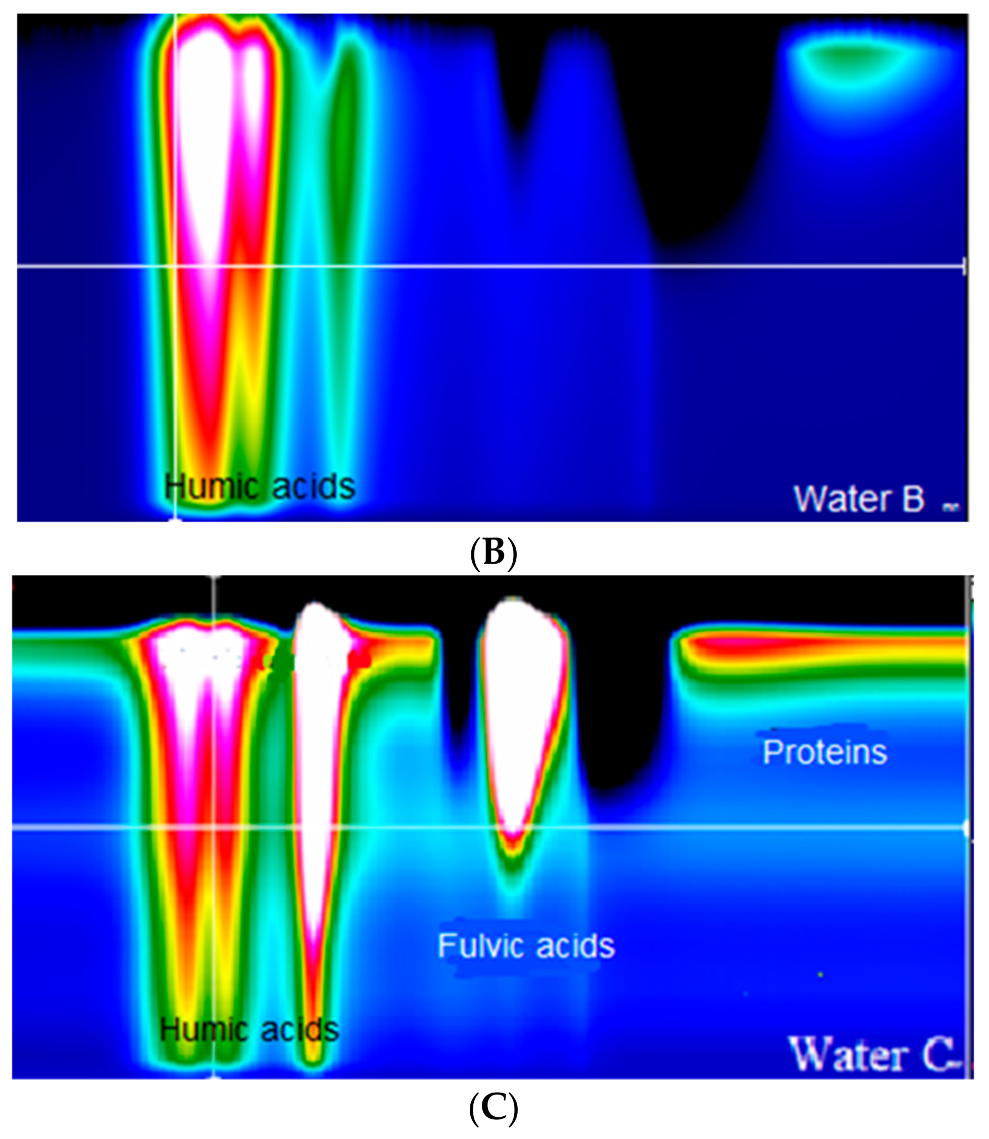 Water 17 00701 g003b