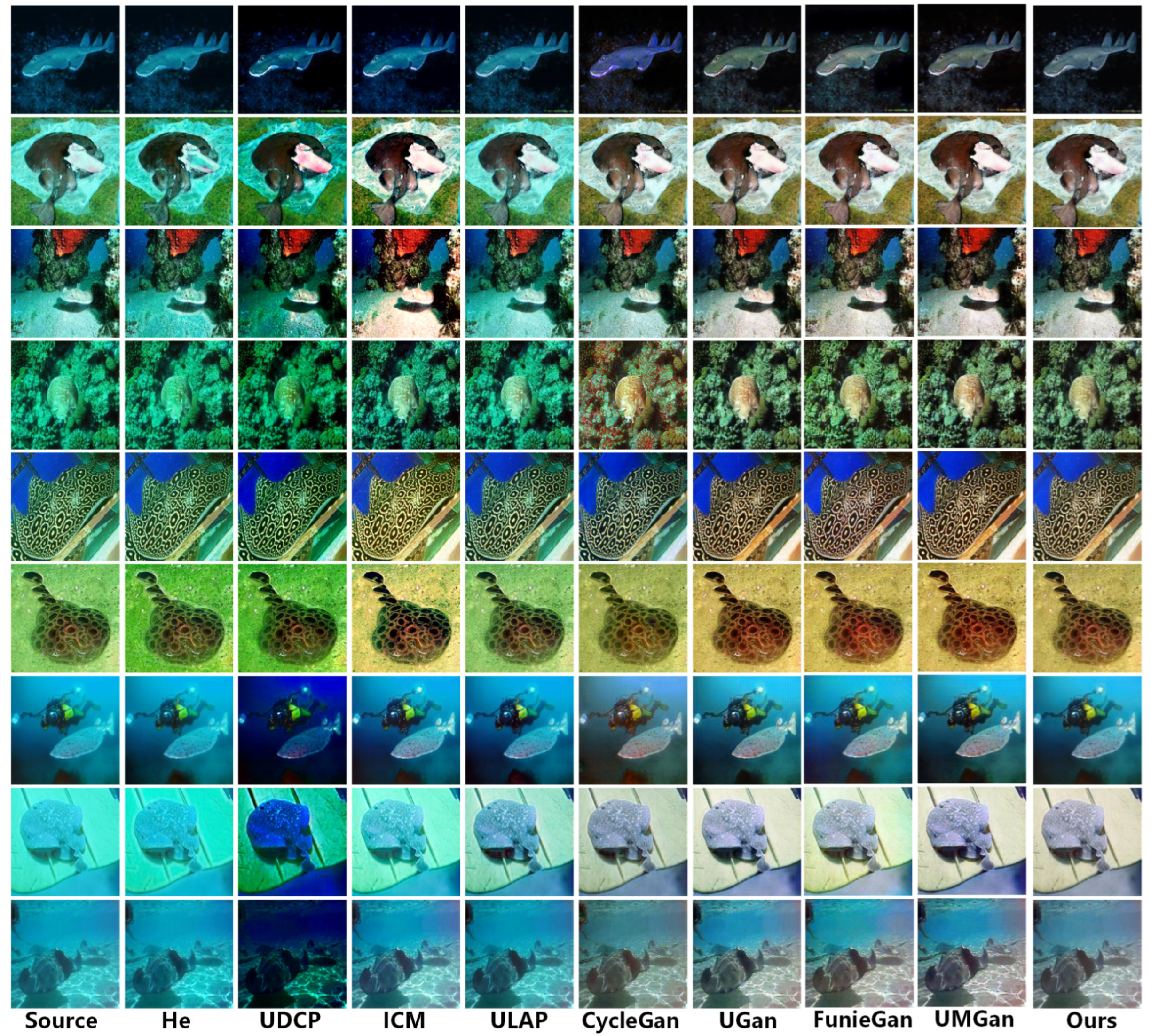 Water 17 00808 g006