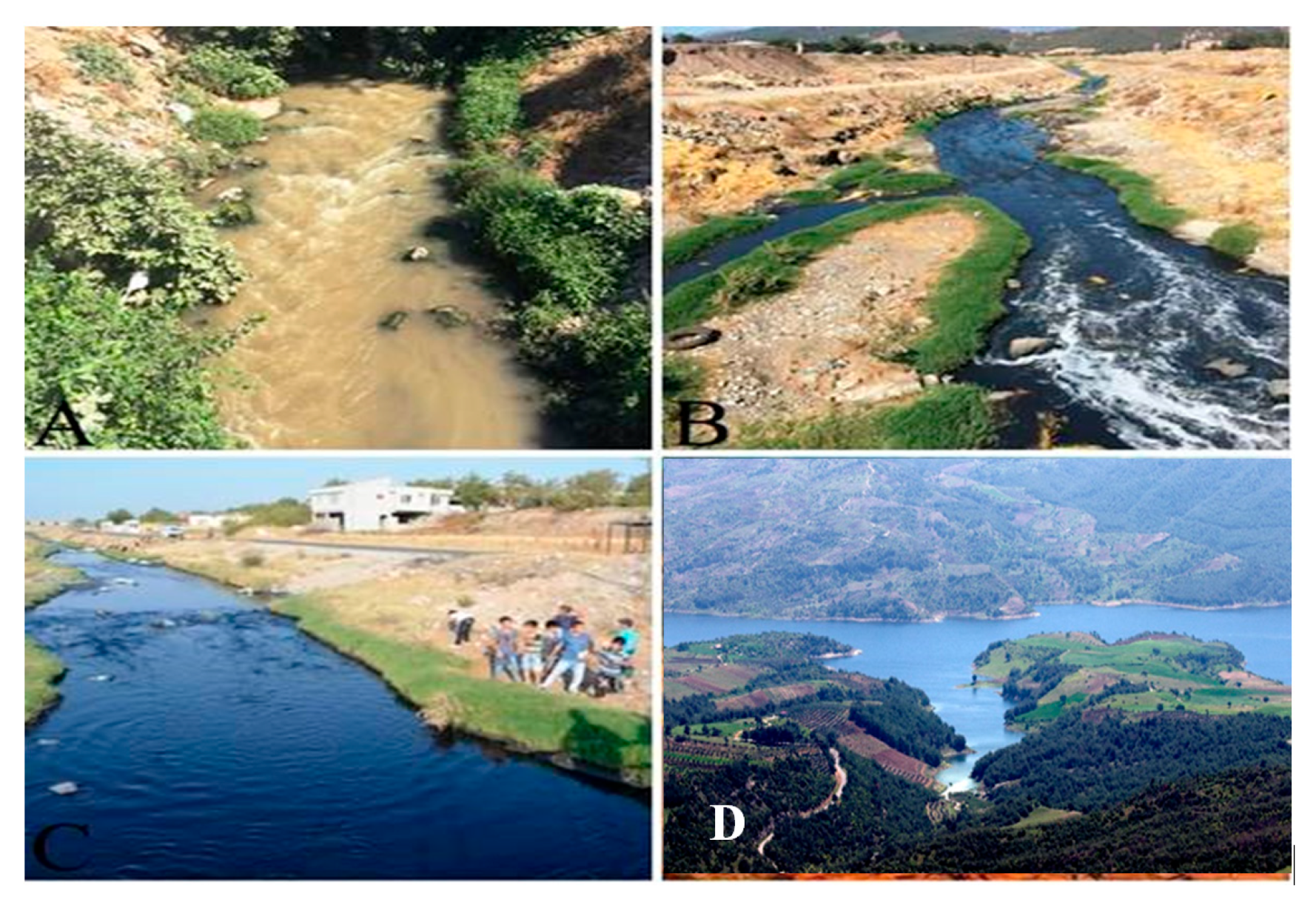 Water 17 00892 g001 Water 17 00892 g001