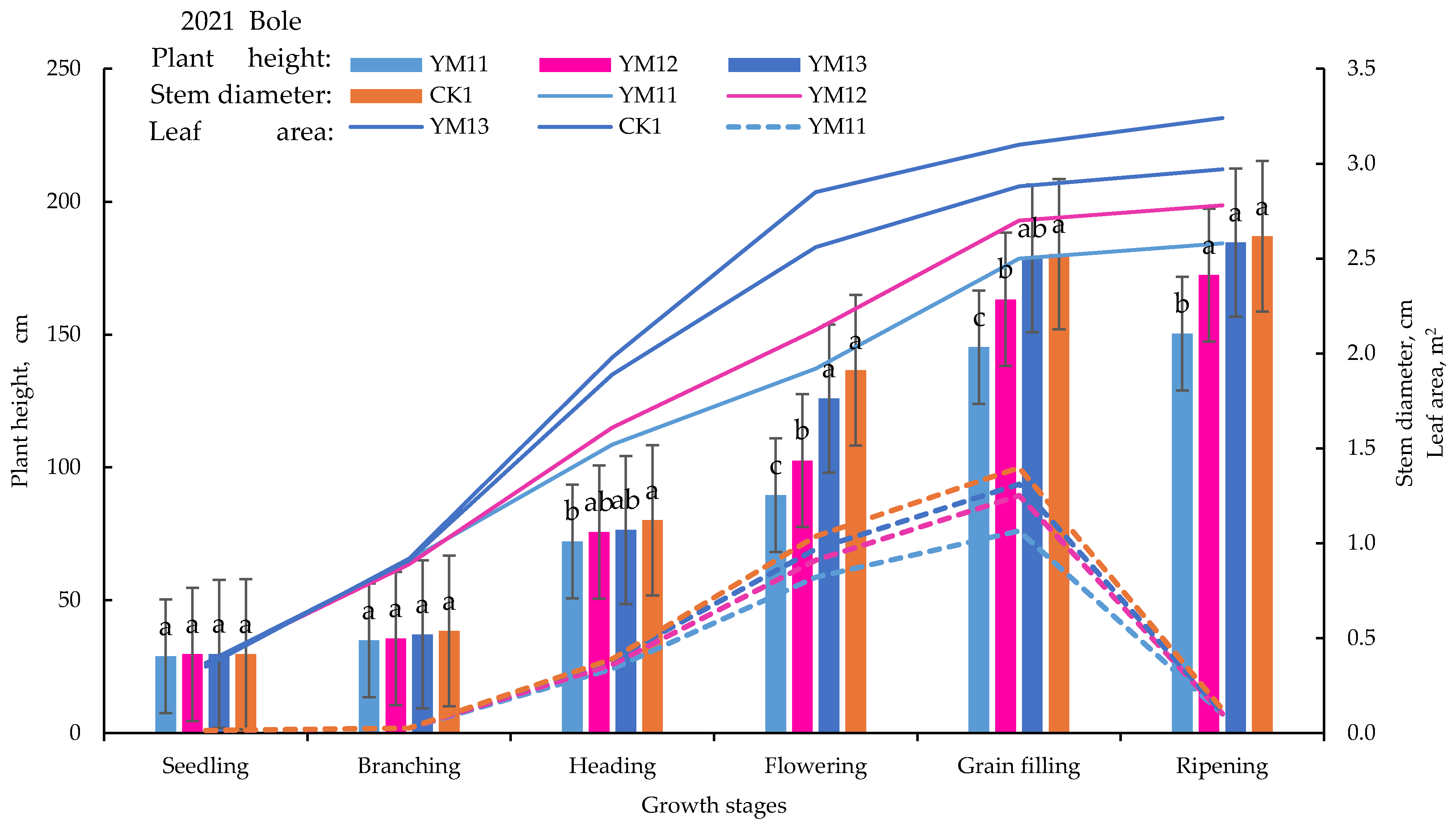 Water 17 00917 g004b