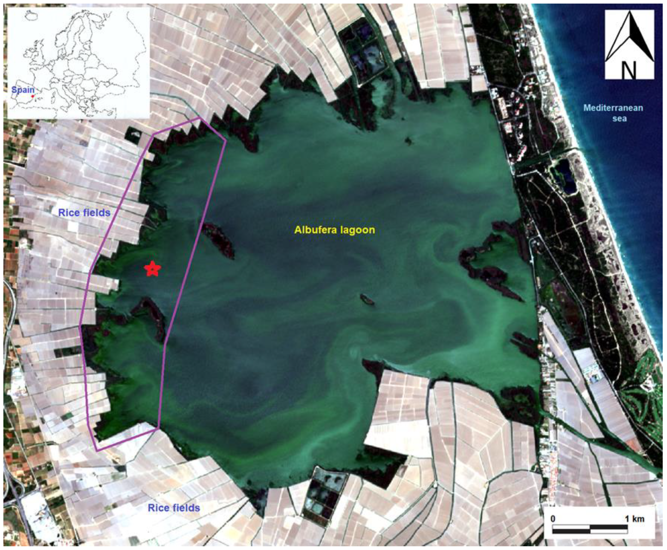 Water 17 01302 g001 Water 17 01302 g001