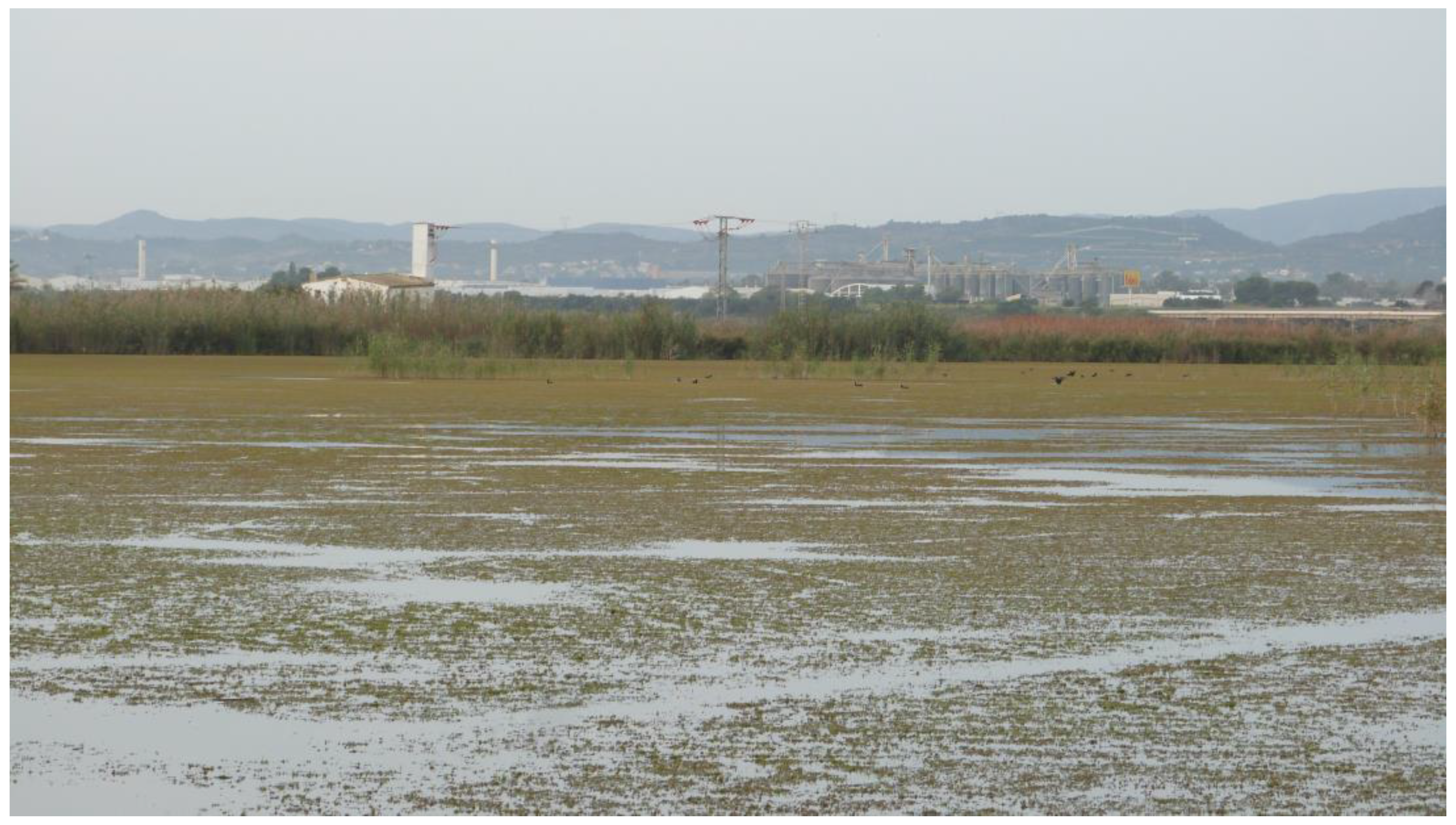 Water 17 01302 g002 Water 17 01302 g002