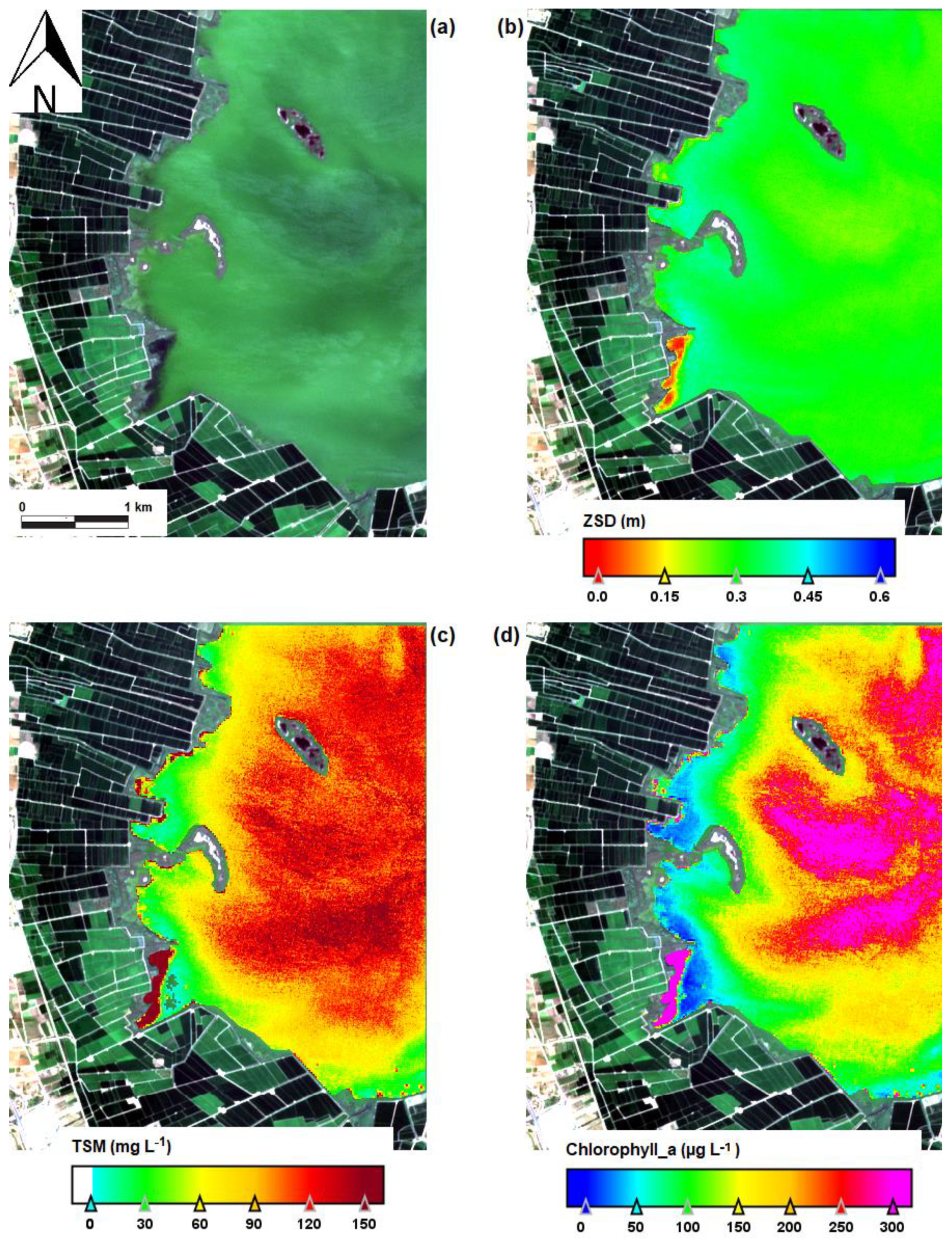 Water 17 01302 g006 Water 17 01302 g006