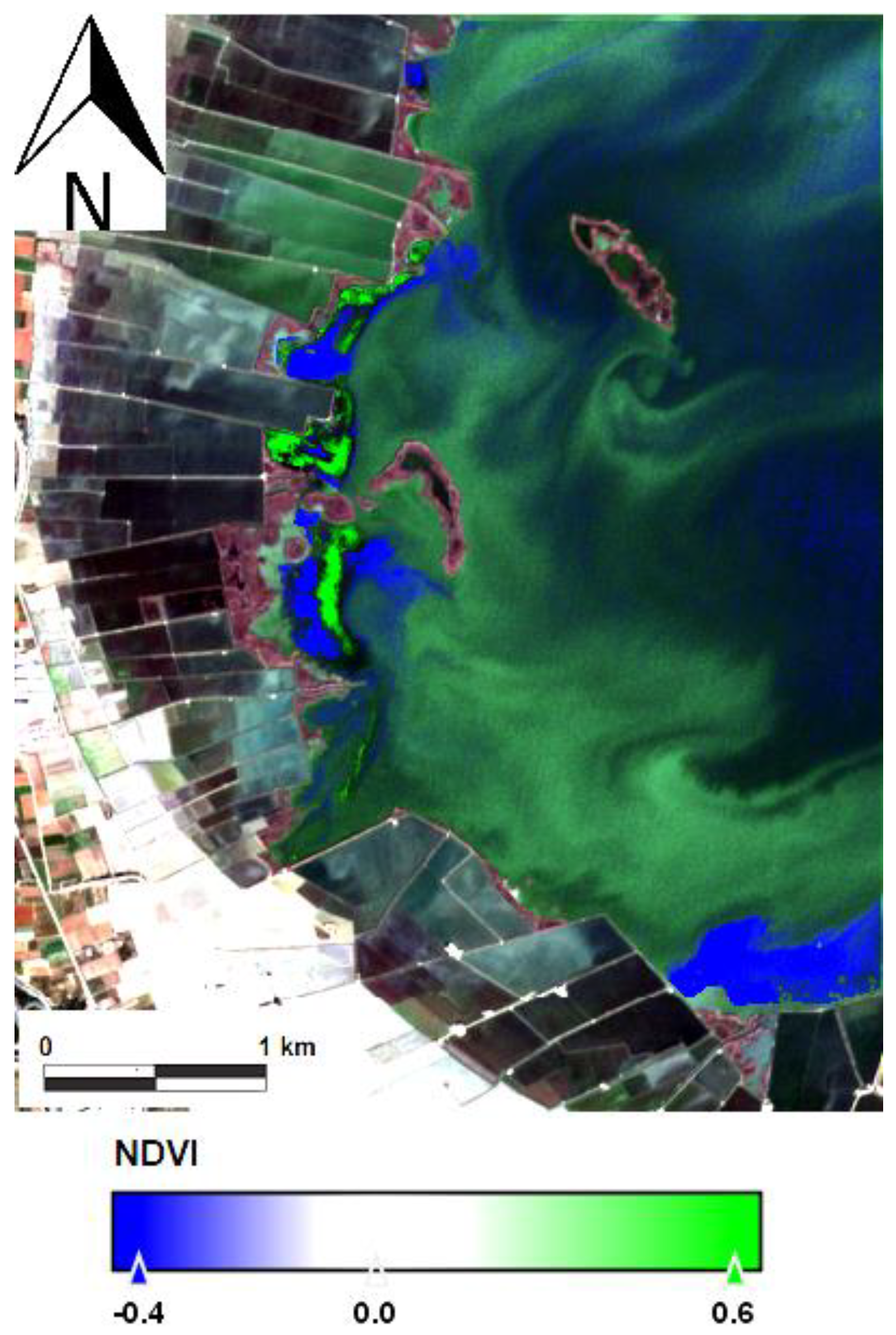 Water 17 01302 g009 Water 17 01302 g009