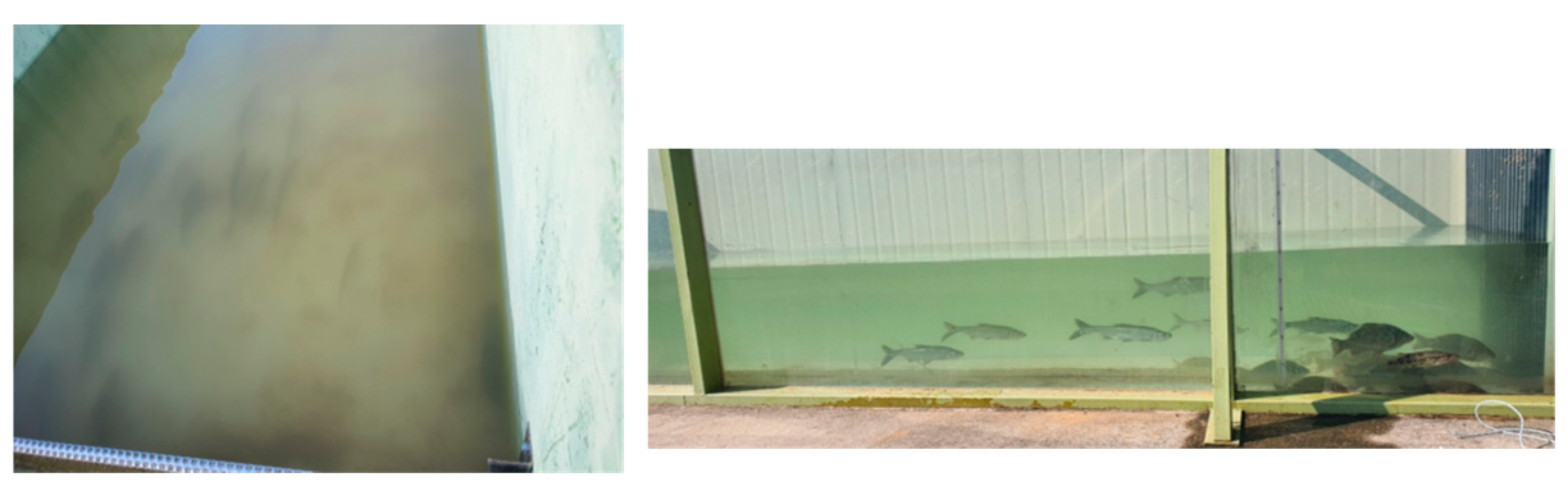 Water 17 01340 g005 Water 17 01340 g005