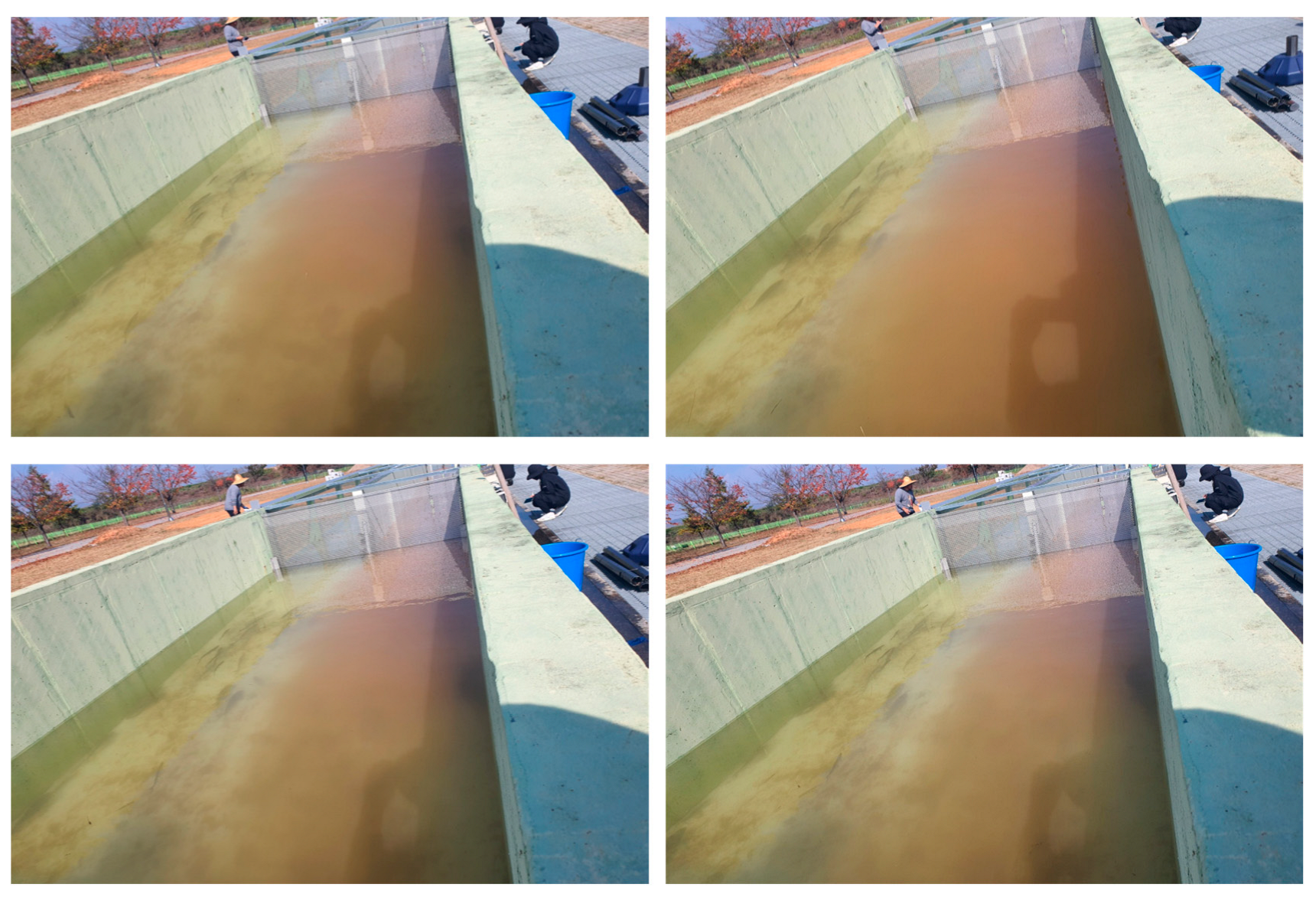 Water 17 01340 g006 Water 17 01340 g006
