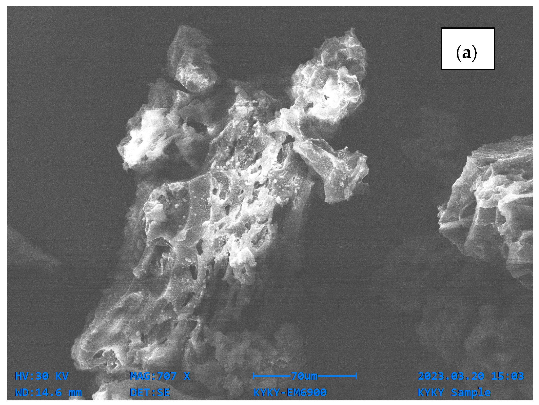 Water 17 01484 g002a