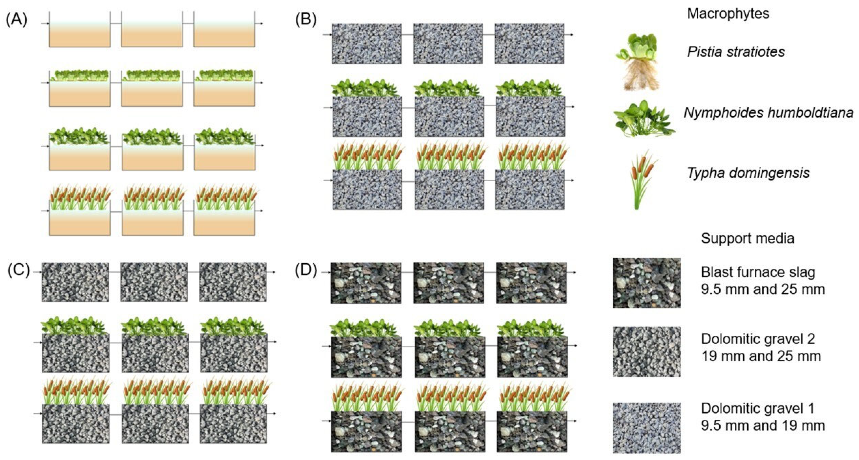 Effects of Plant and Substrate Types on Turbidity Removal in ...