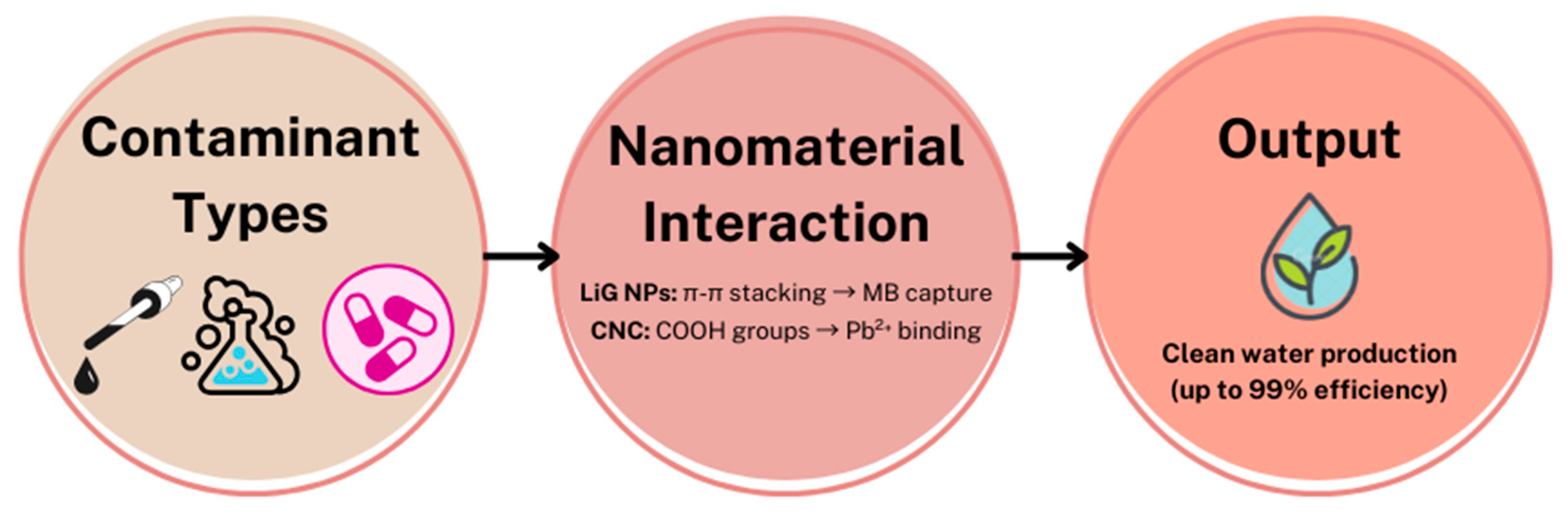 Water 17 02426 g001 Water 17 02426 g001