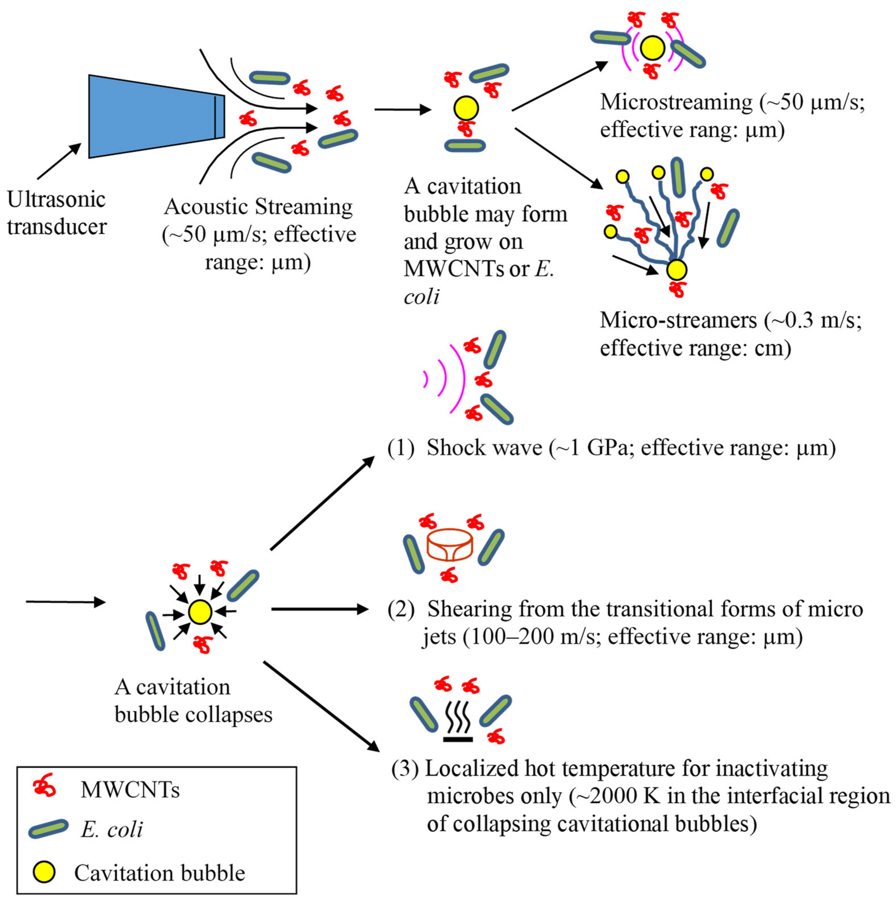 Water 17 02472 g007 Water 17 02472 g007