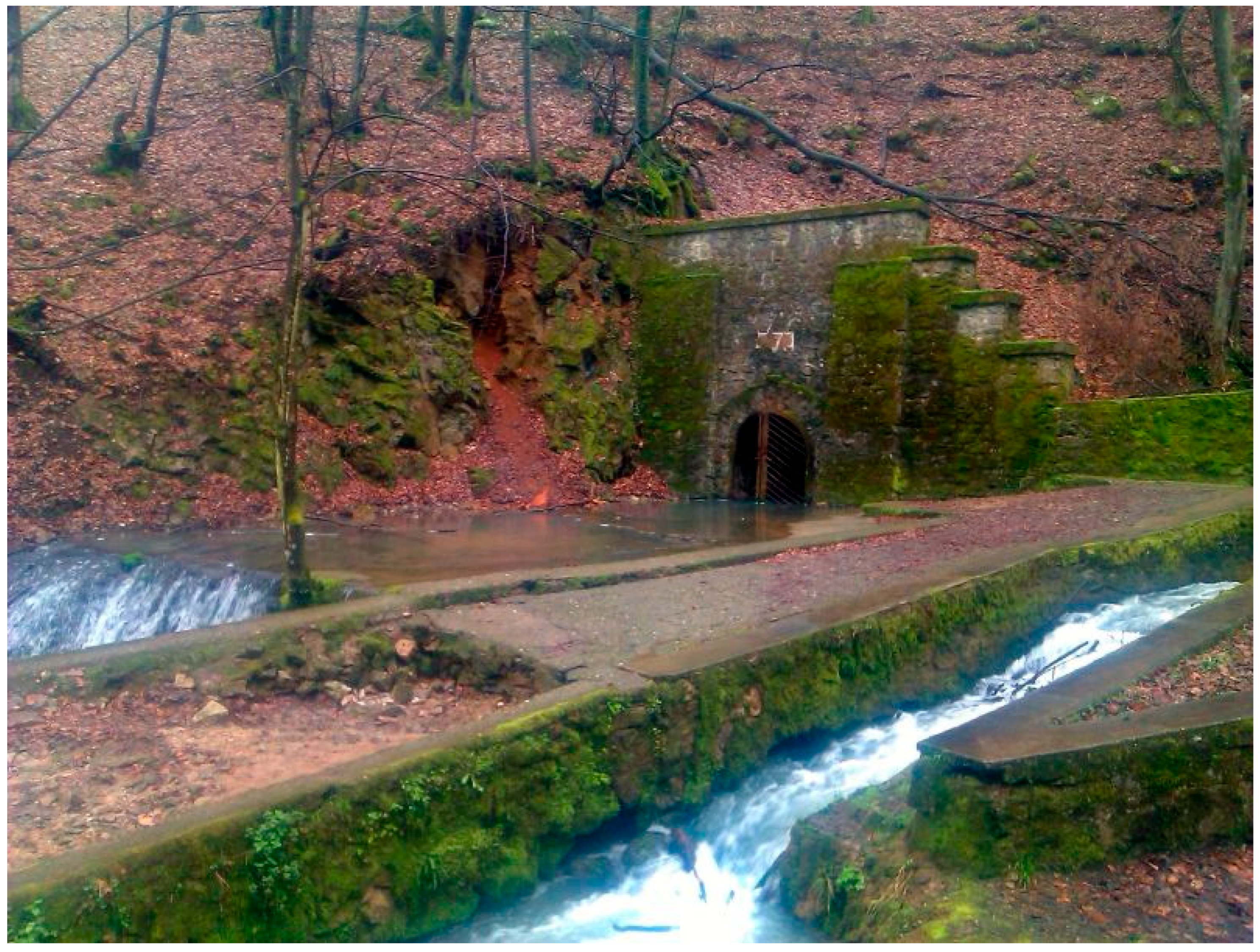 Water 17 02507 g006