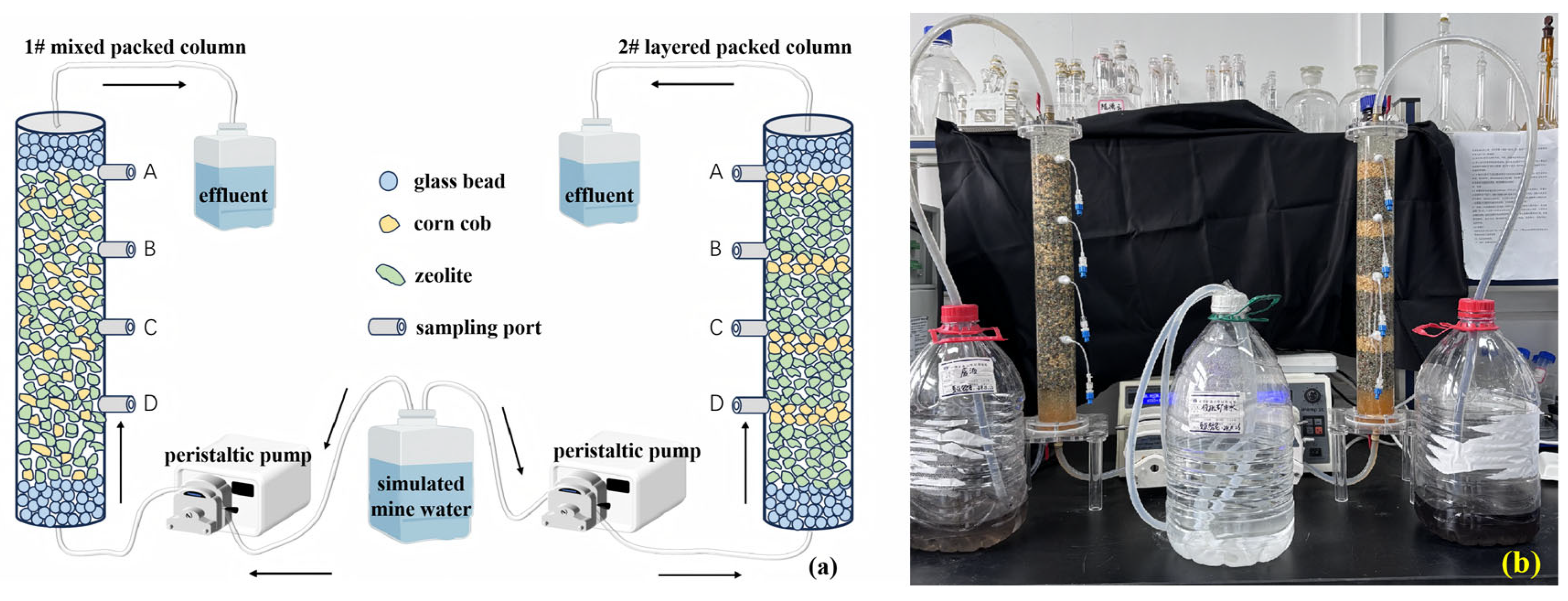 Water 17 02684 g001 Water 17 02684 g001