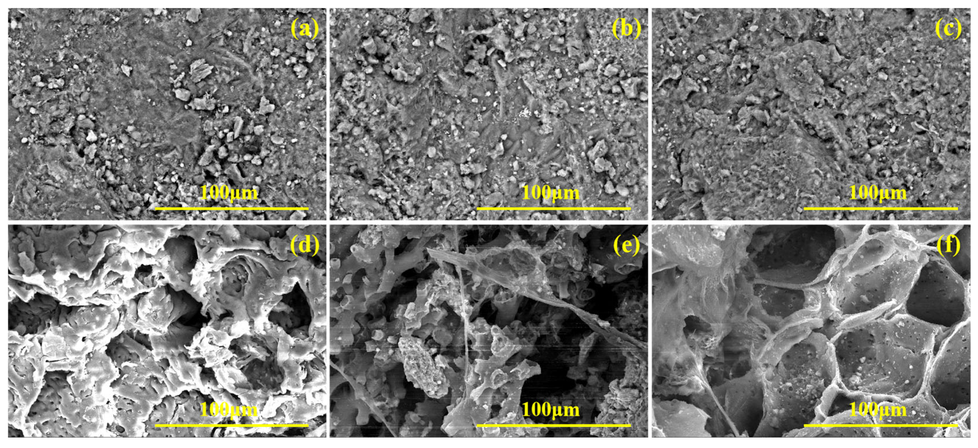 Water 17 02684 g012 Water 17 02684 g012