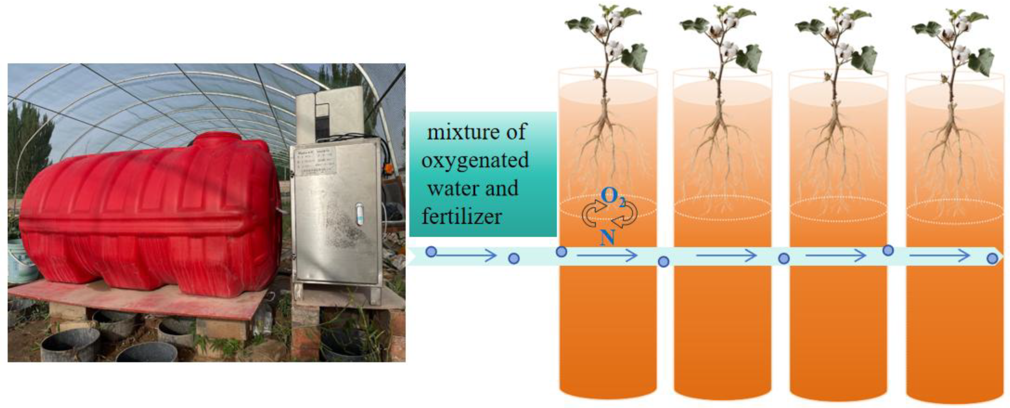 Water 17 02778 g002 Water 17 02778 g002