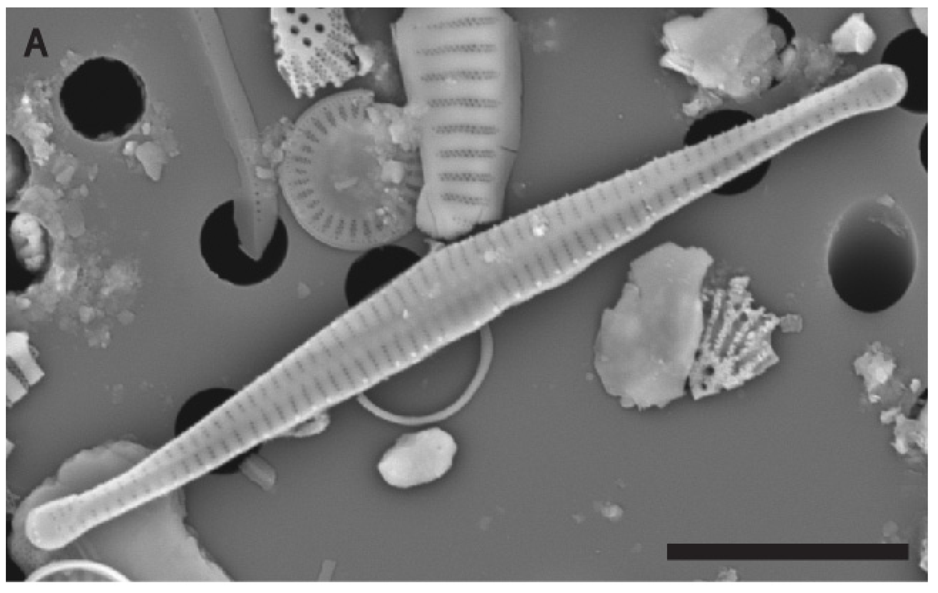 Water 17 02843 g005a