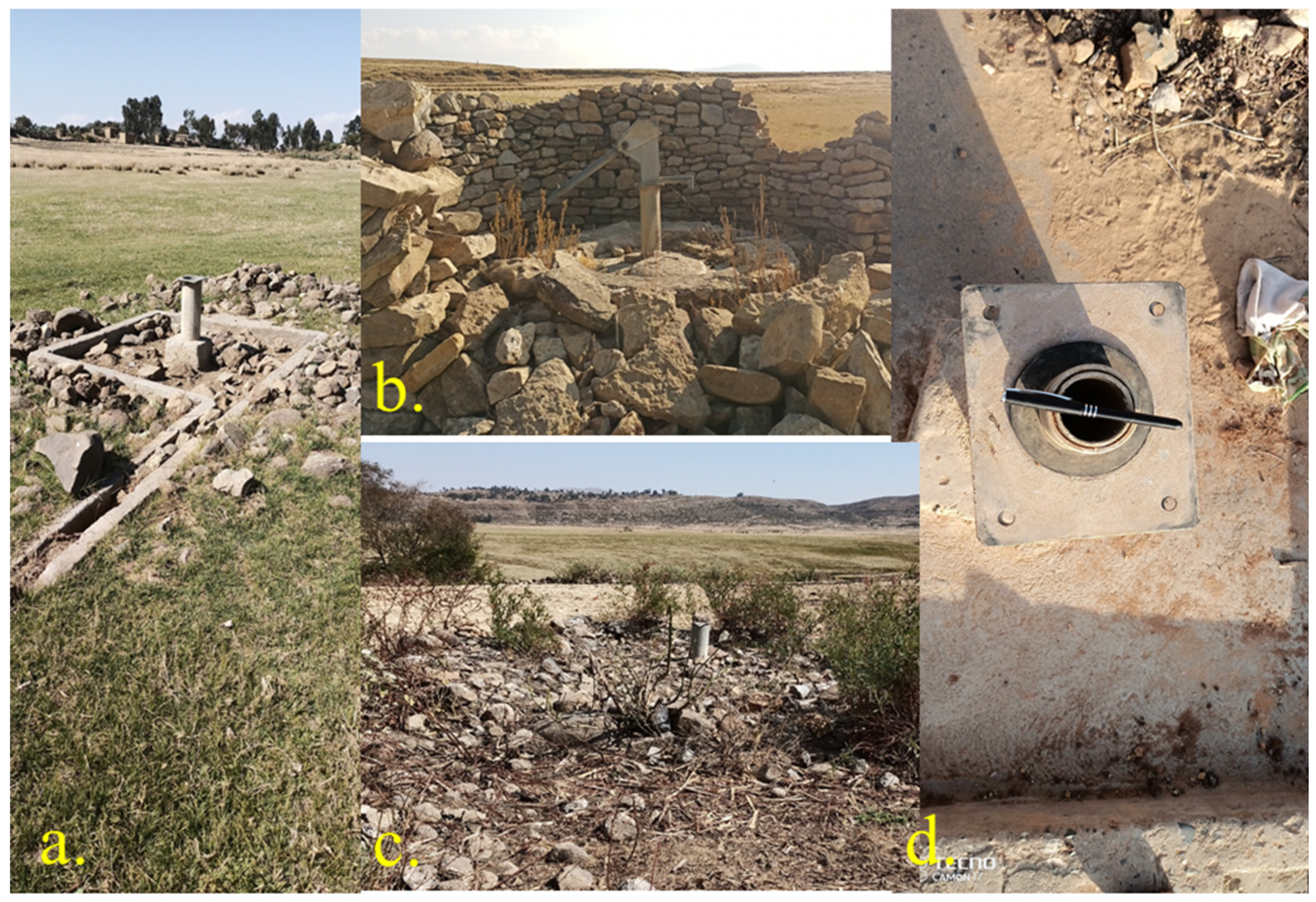 Water 17 02883 g007b