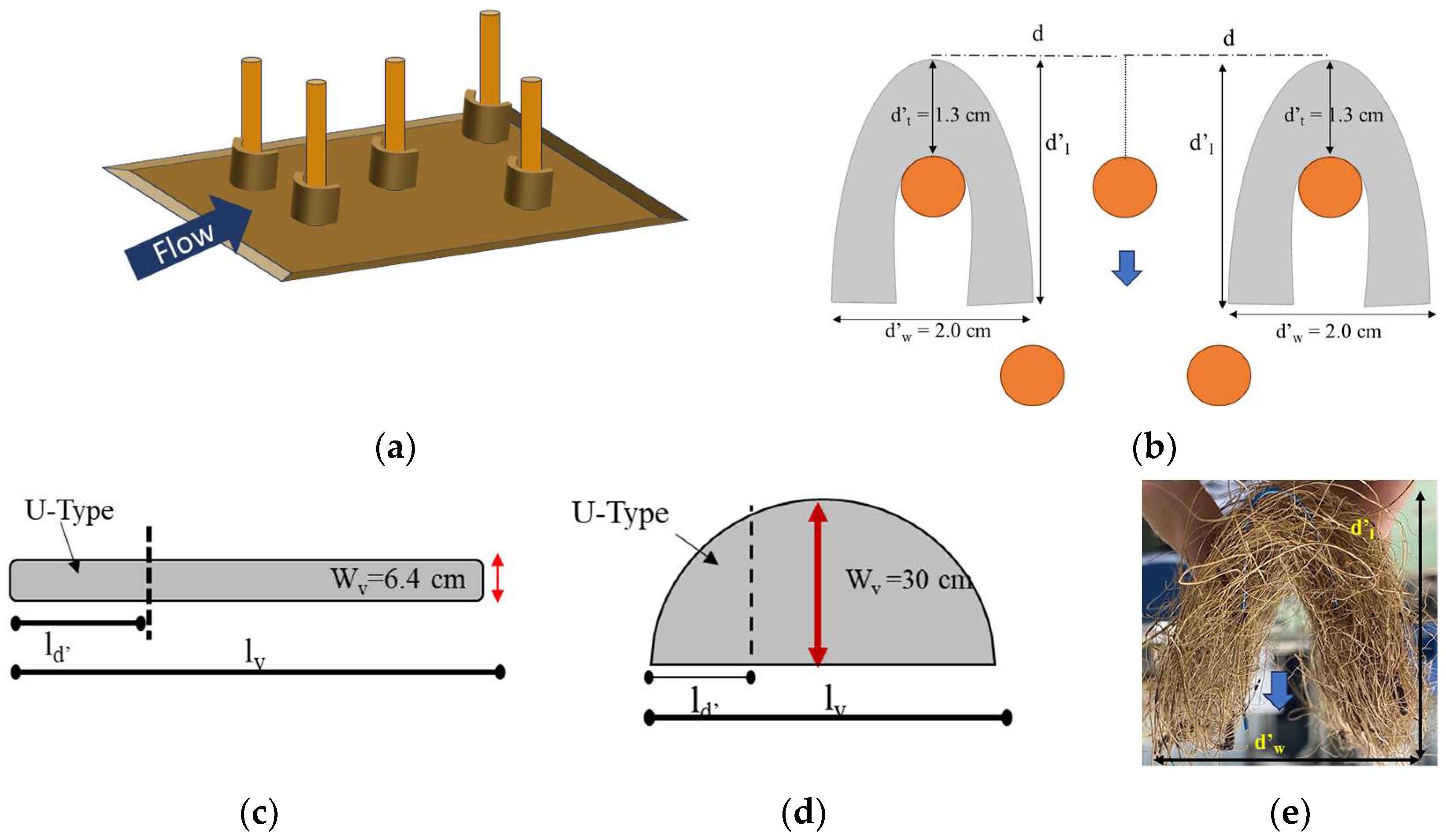 Water 17 02915 g005a