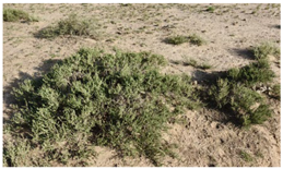 Water 17 03058 i004 Water 17 03058 i004