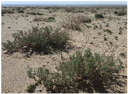 Water 17 03058 i006 Water 17 03058 i006