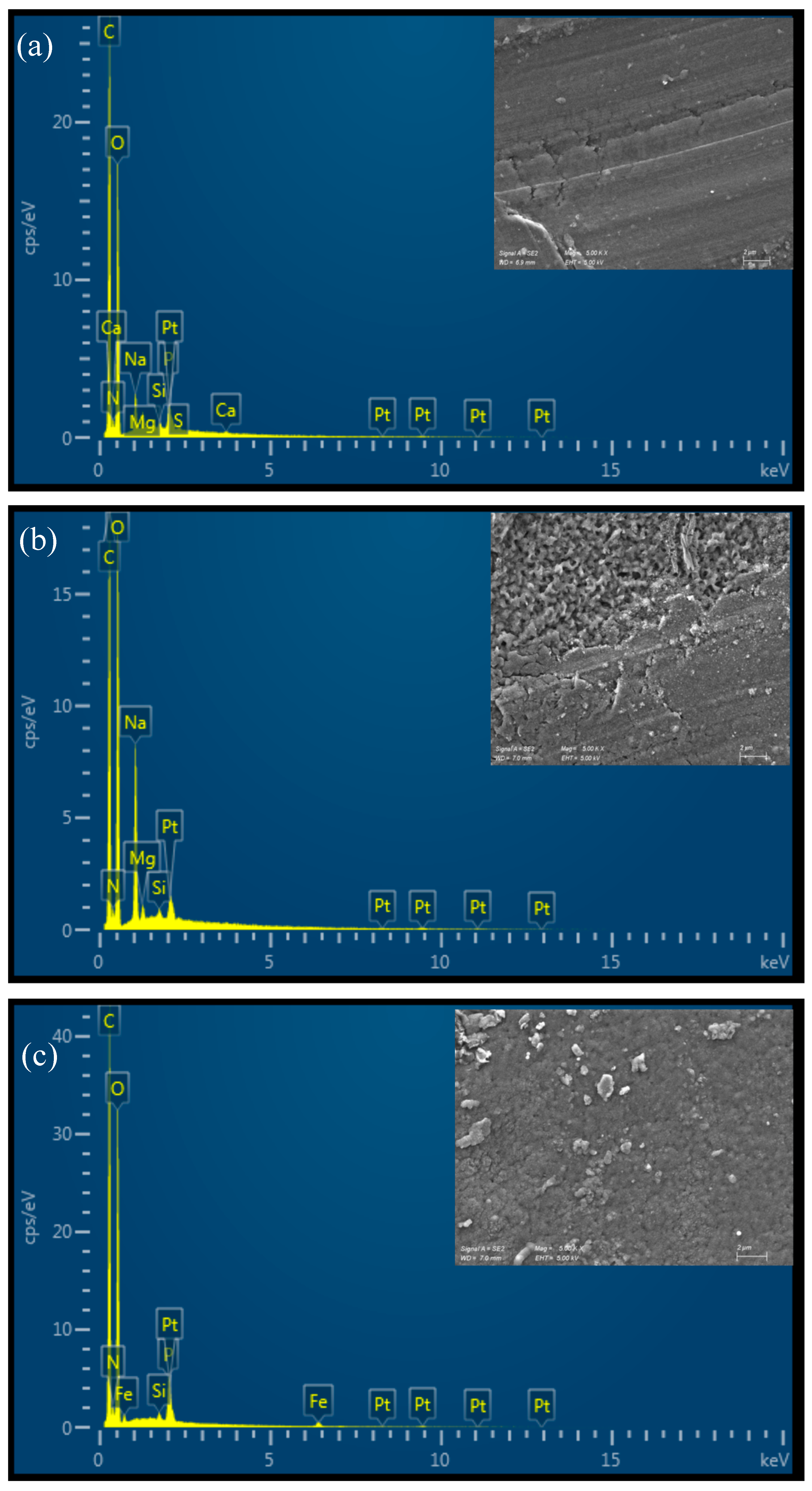 Water 17 03077 g003a Water 17 03077 g003a
