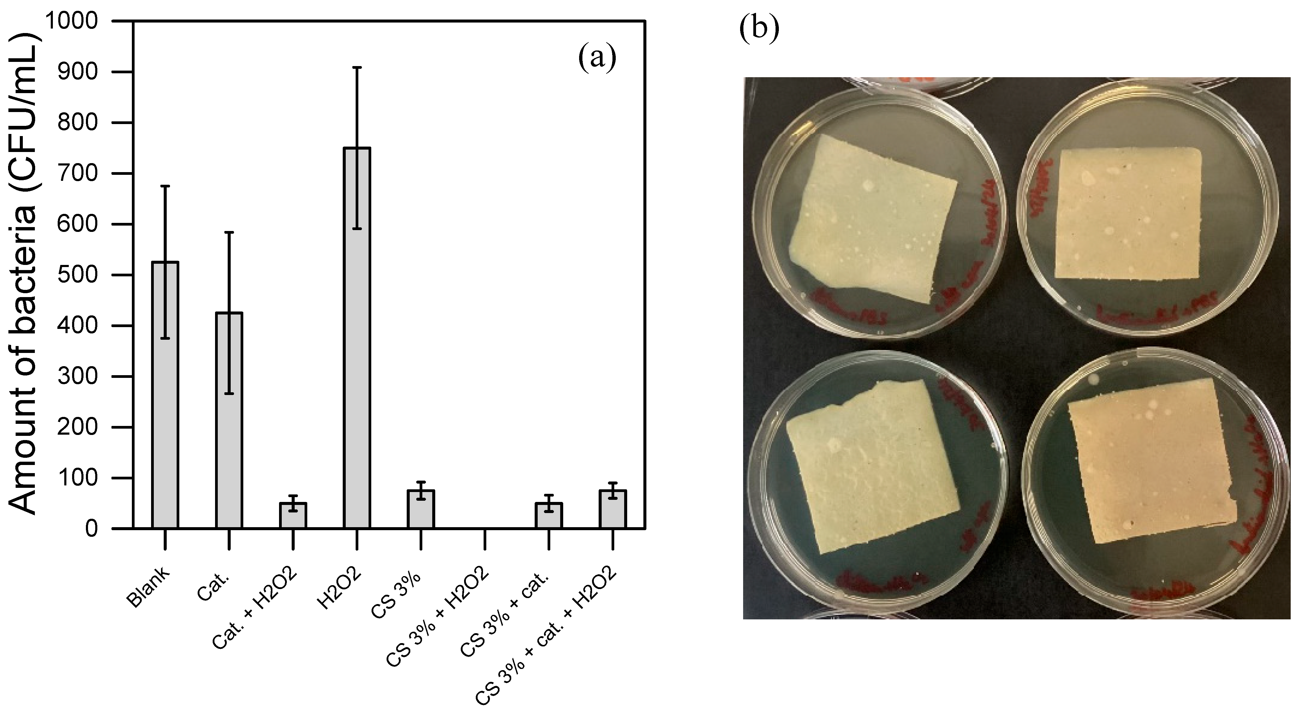 Water 17 03077 g006a Water 17 03077 g006a