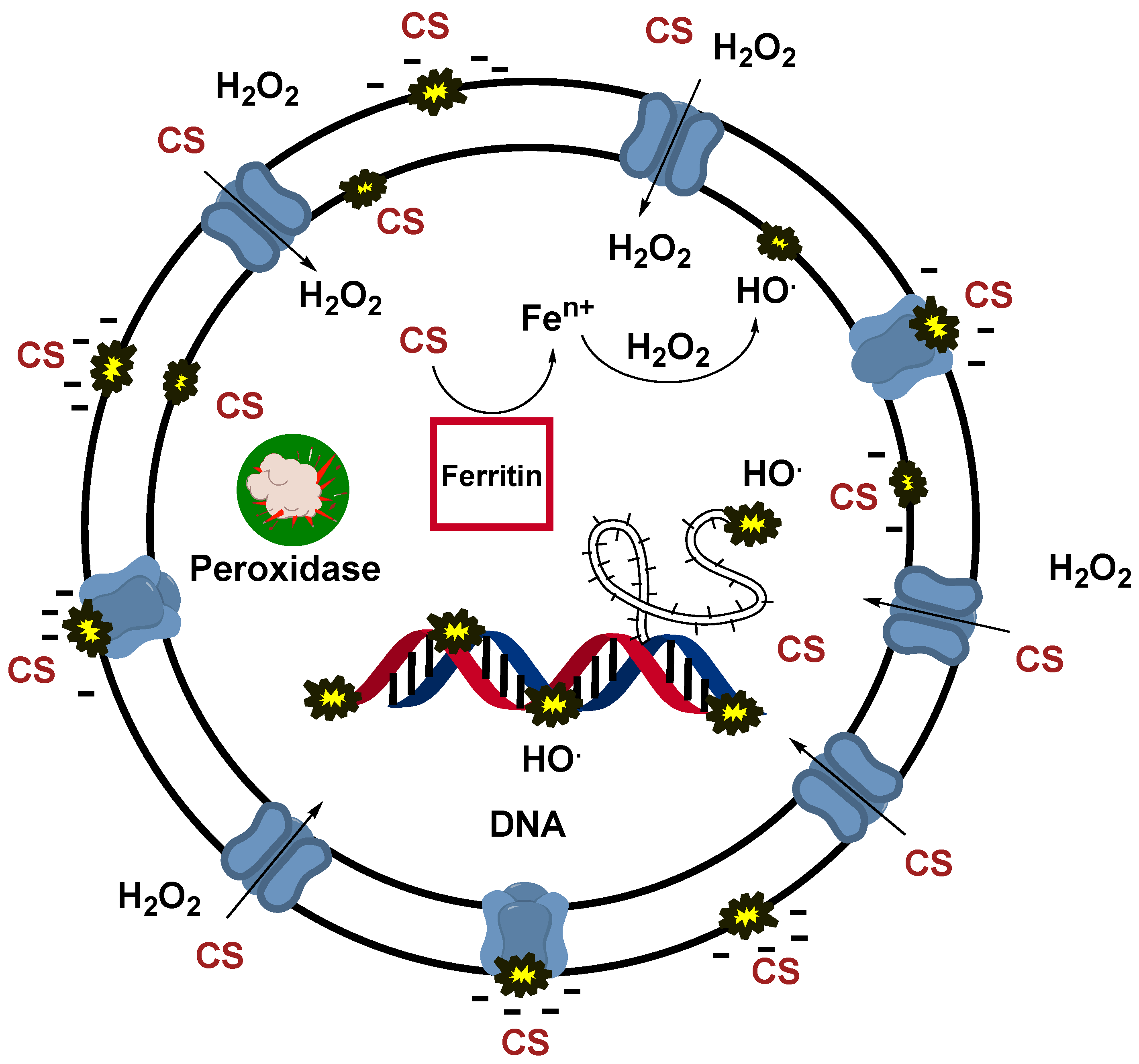 Water 17 03077 g007 Water 17 03077 g007