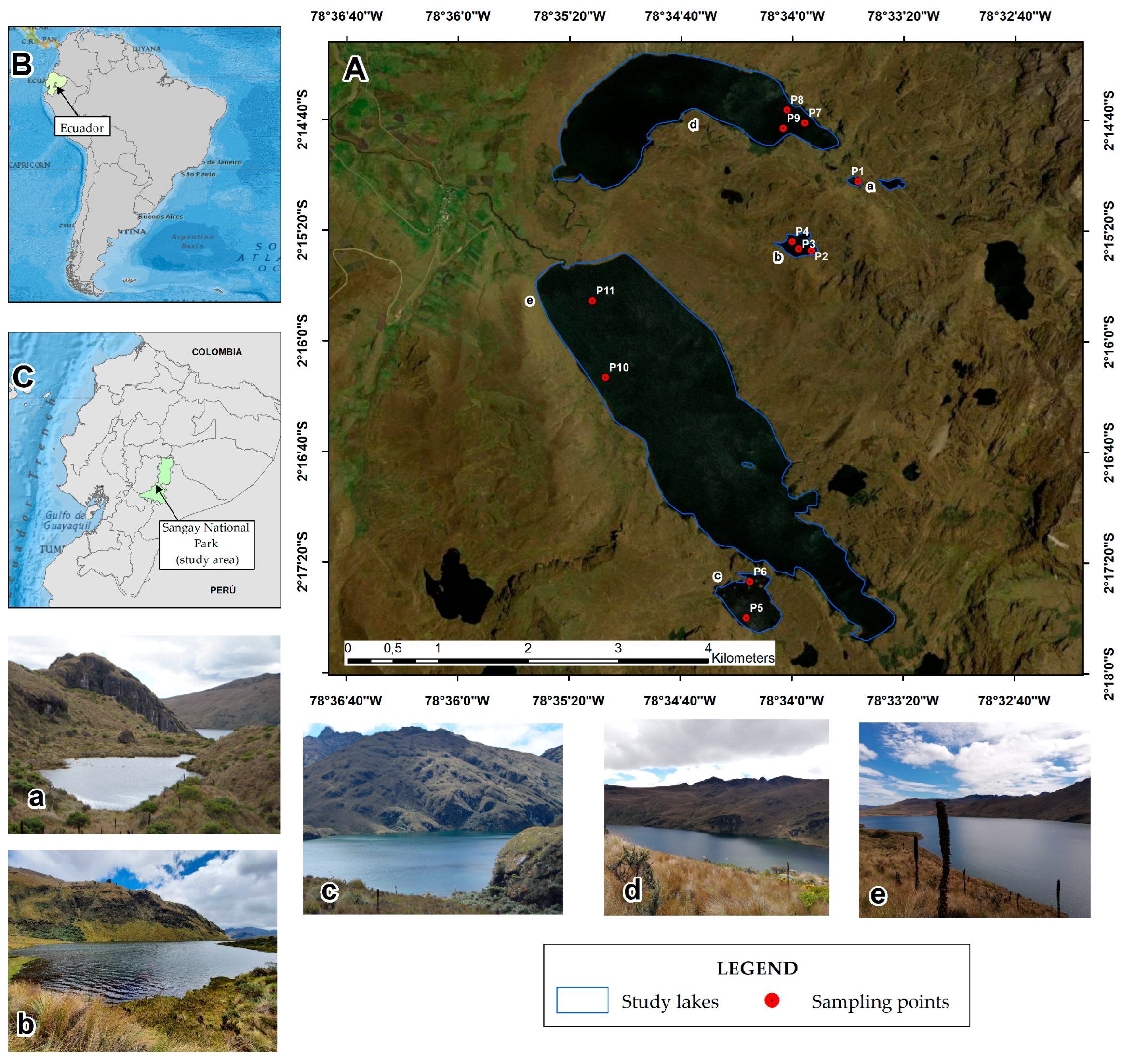 Water 17 03145 g001 Water 17 03145 g001