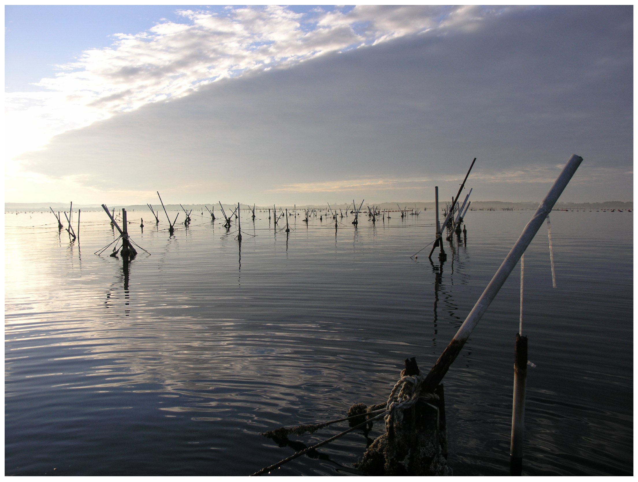 Water 17 03163 g002 Water 17 03163 g002