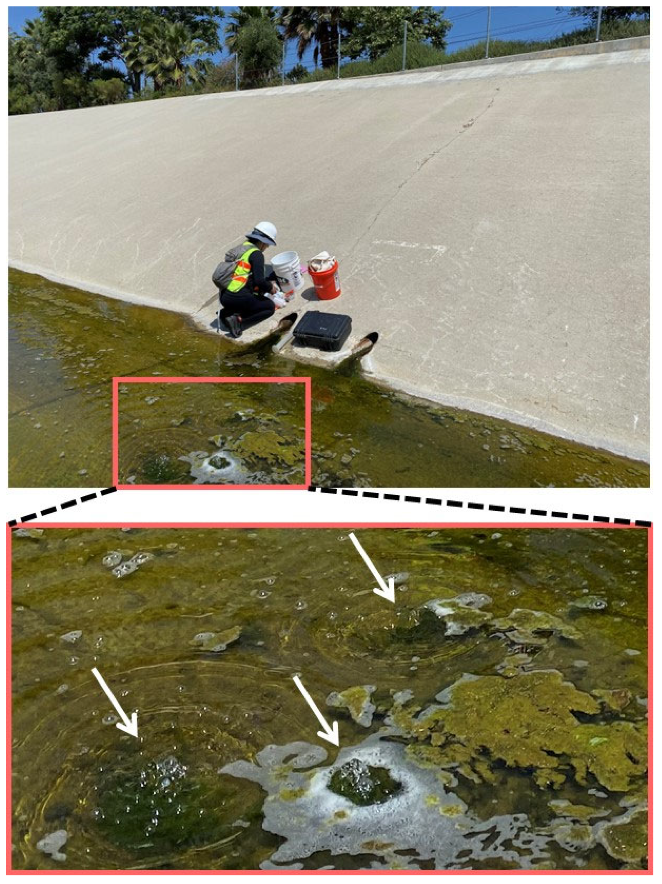 Water 17 03164 g014 Water 17 03164 g014