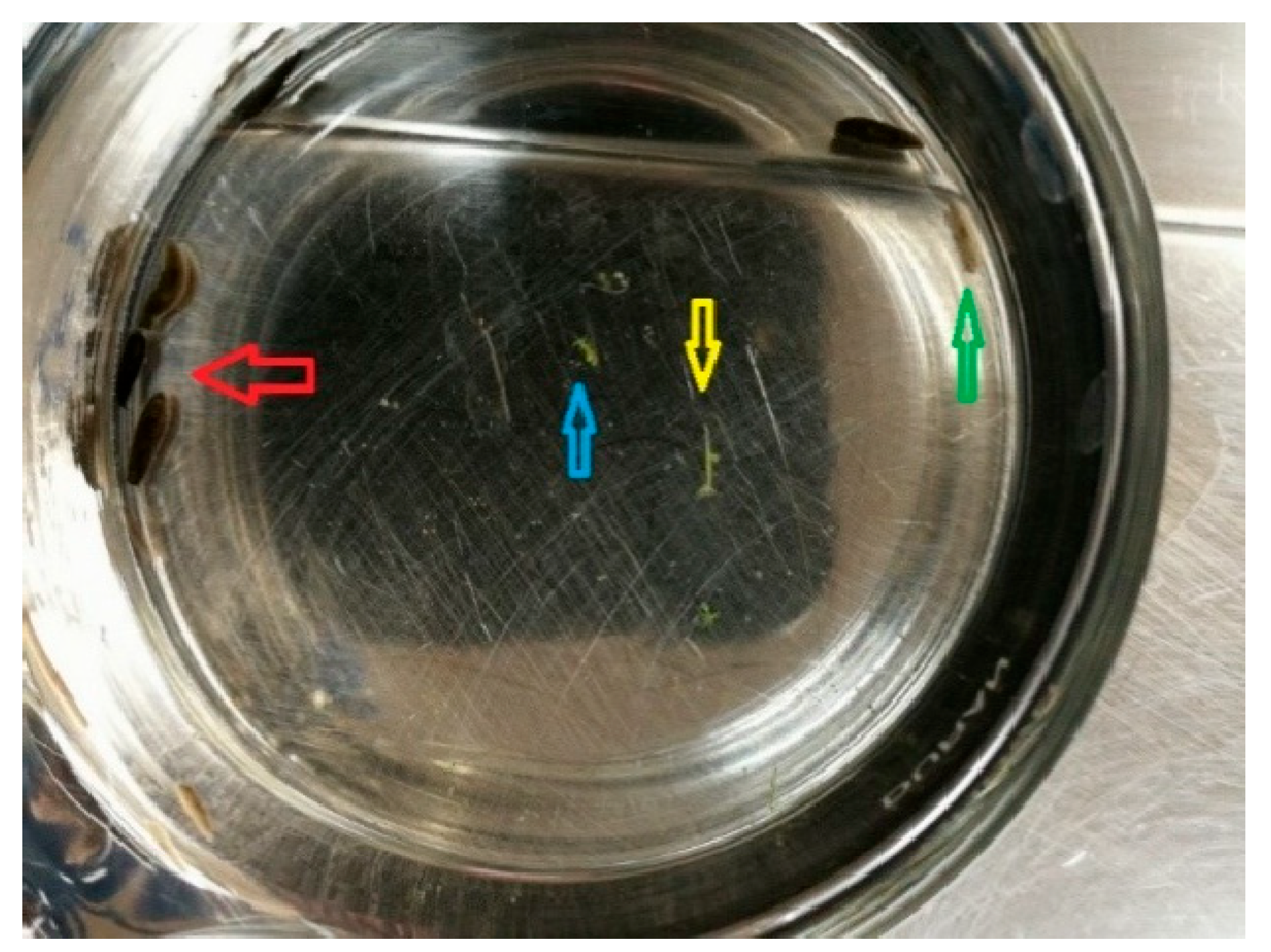 Water 17 03166 g006 Water 17 03166 g006