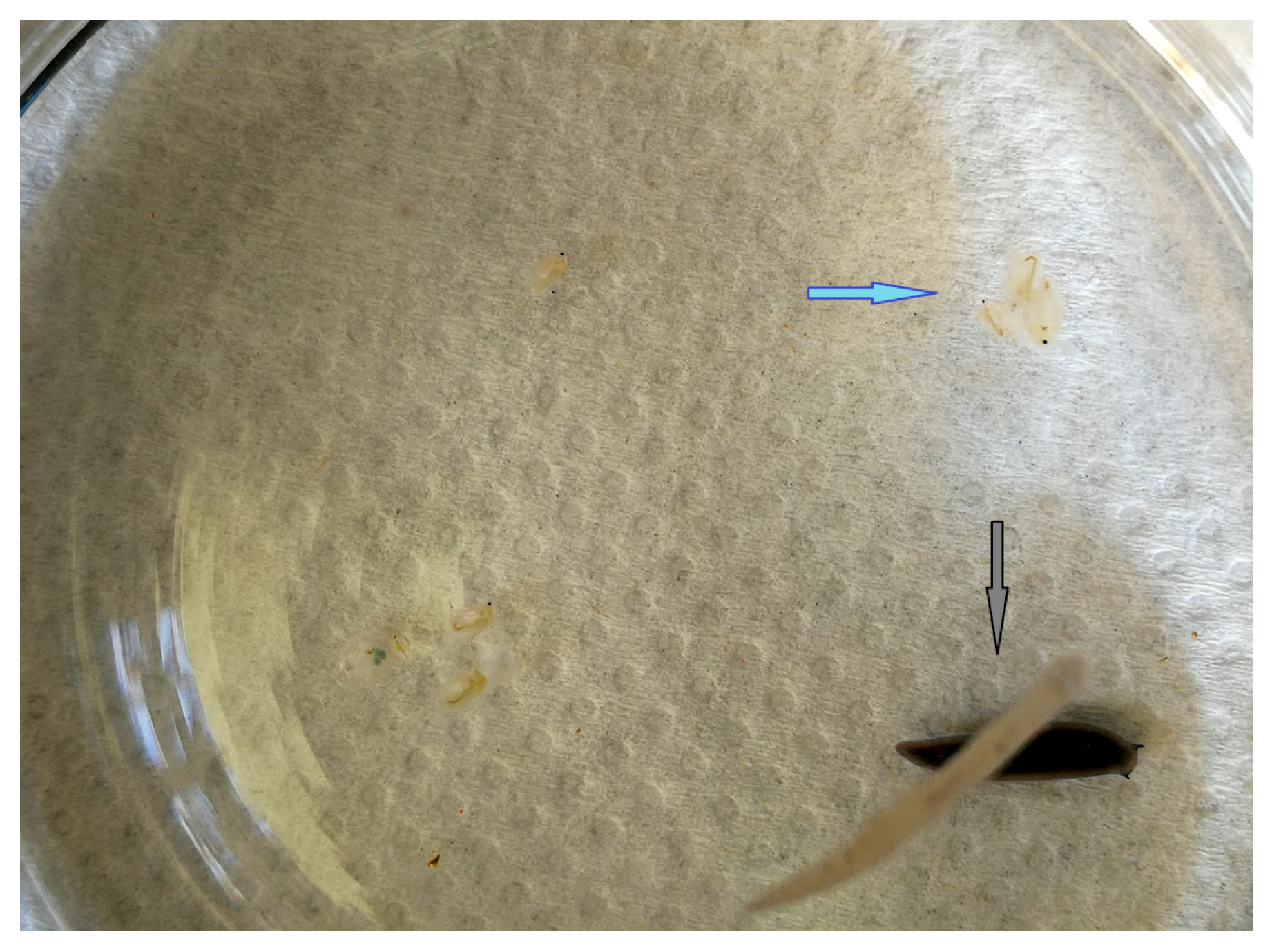 Water 17 03166 g007 Water 17 03166 g007