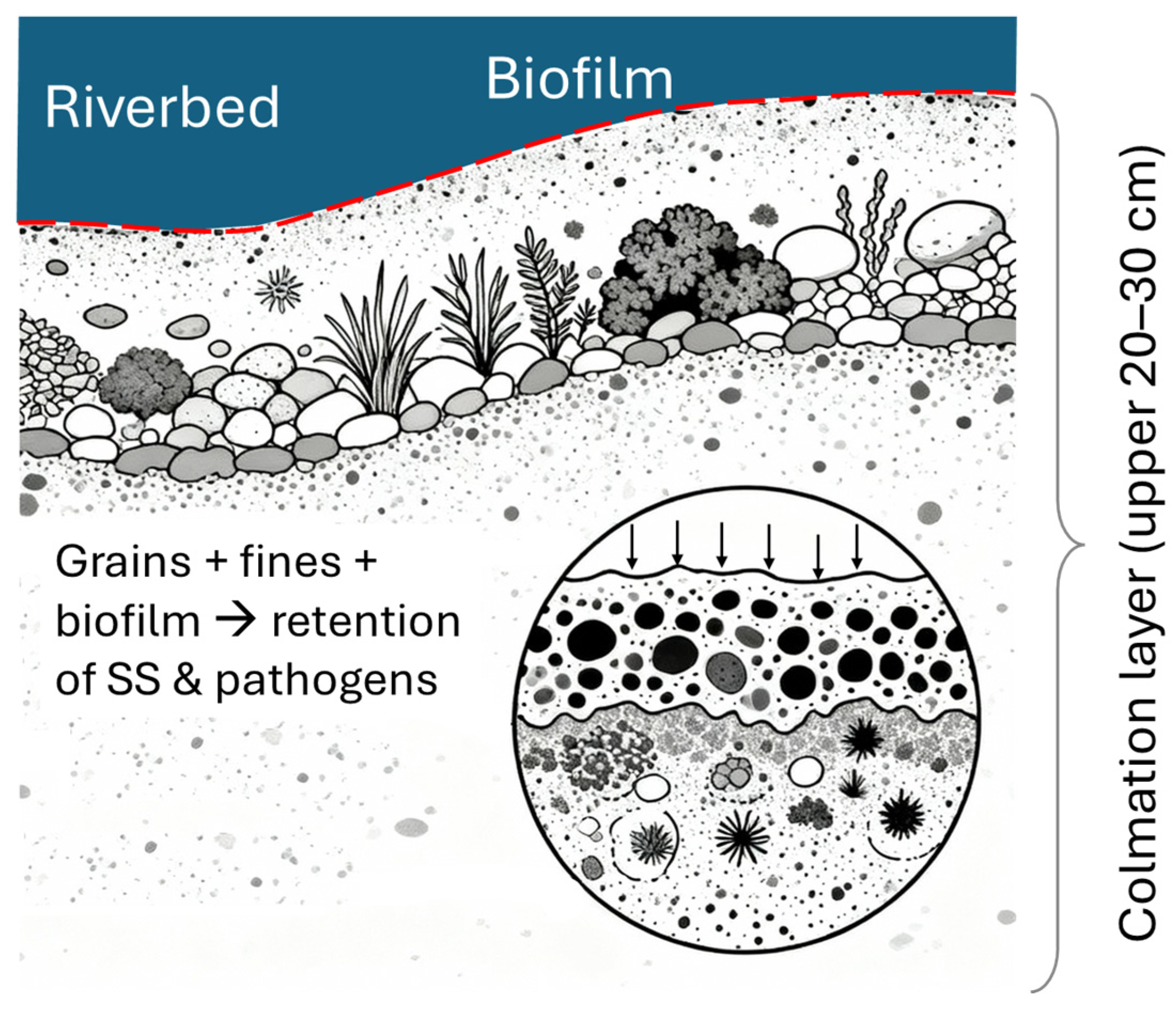 Water 17 03169 g003 Water 17 03169 g003