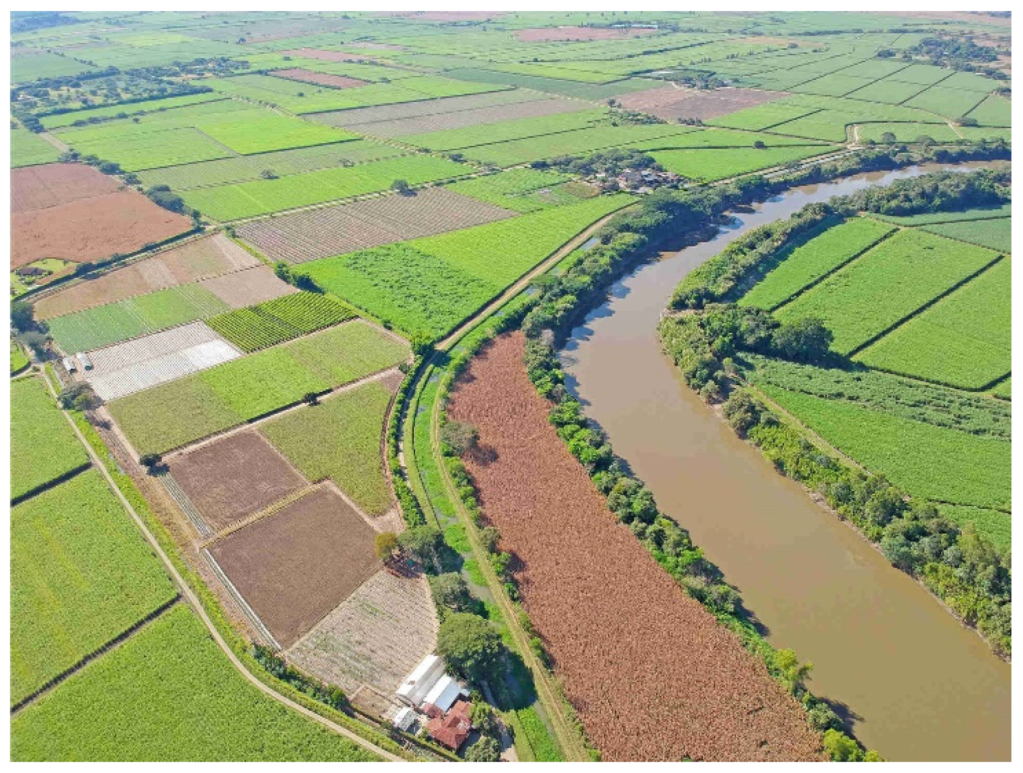 Water 17 03169 g004 Water 17 03169 g004