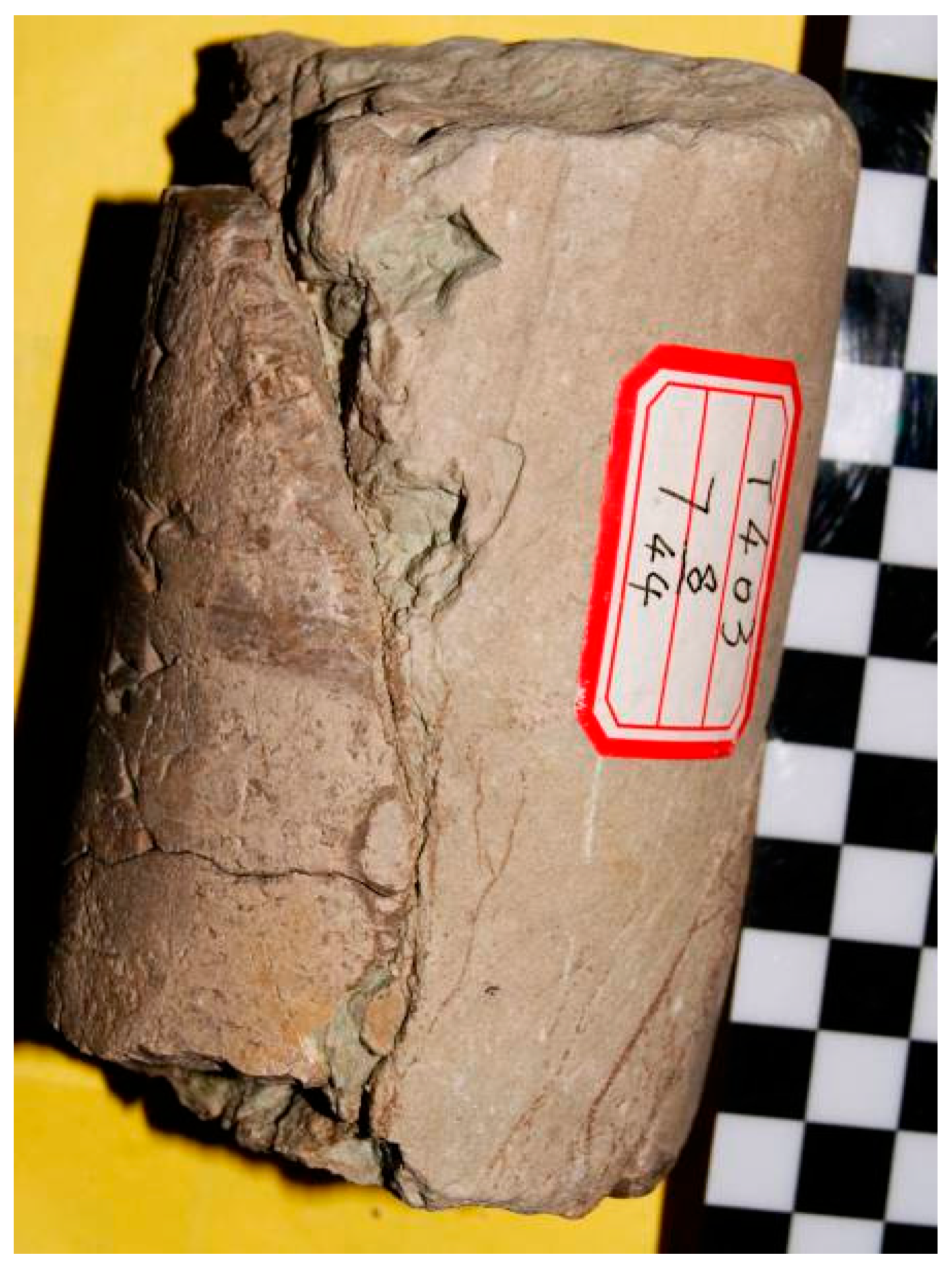 Water 17 03530 g007 Water 17 03530 g007