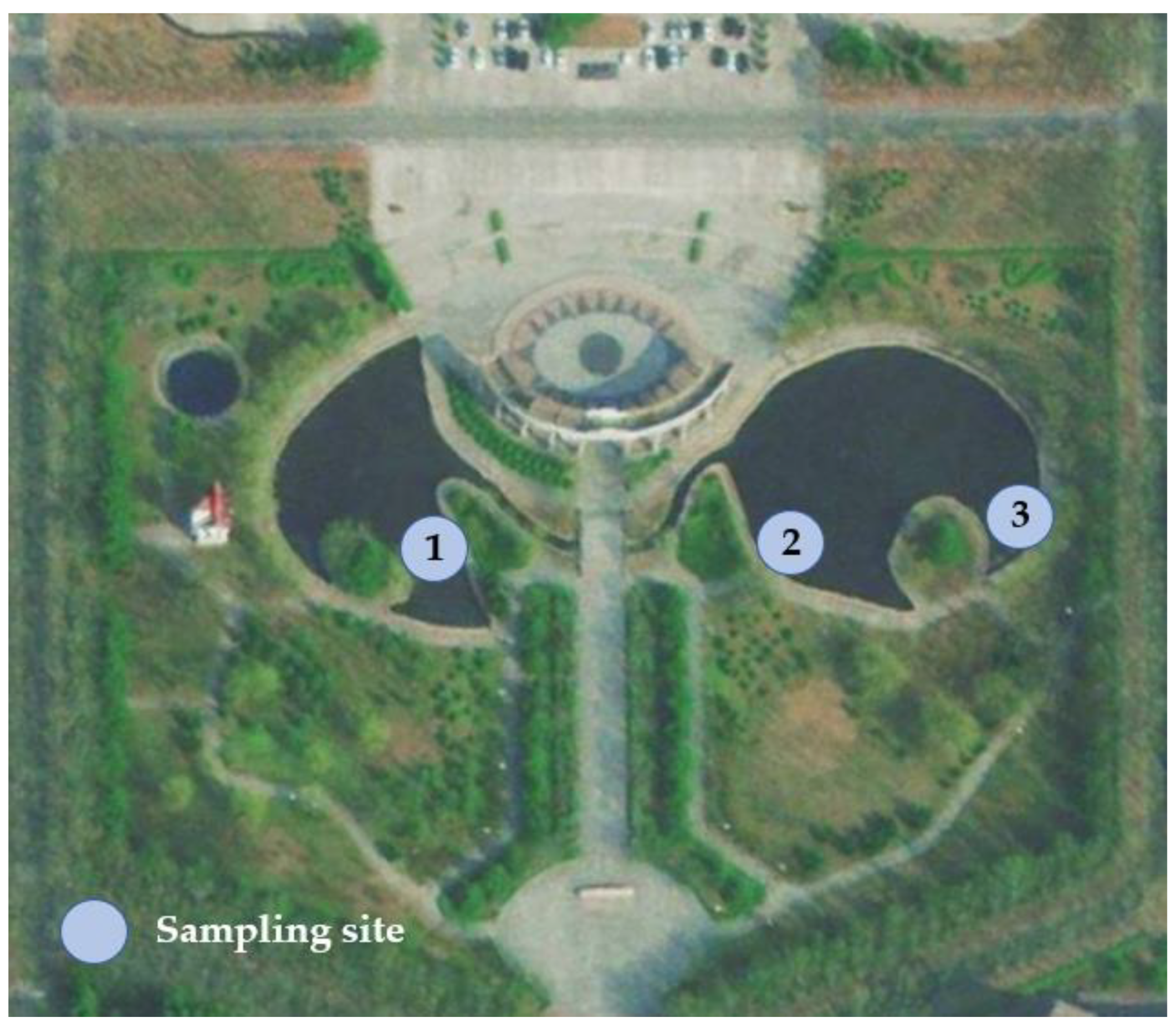Water 18 00093 g011 Water 18 00093 g011