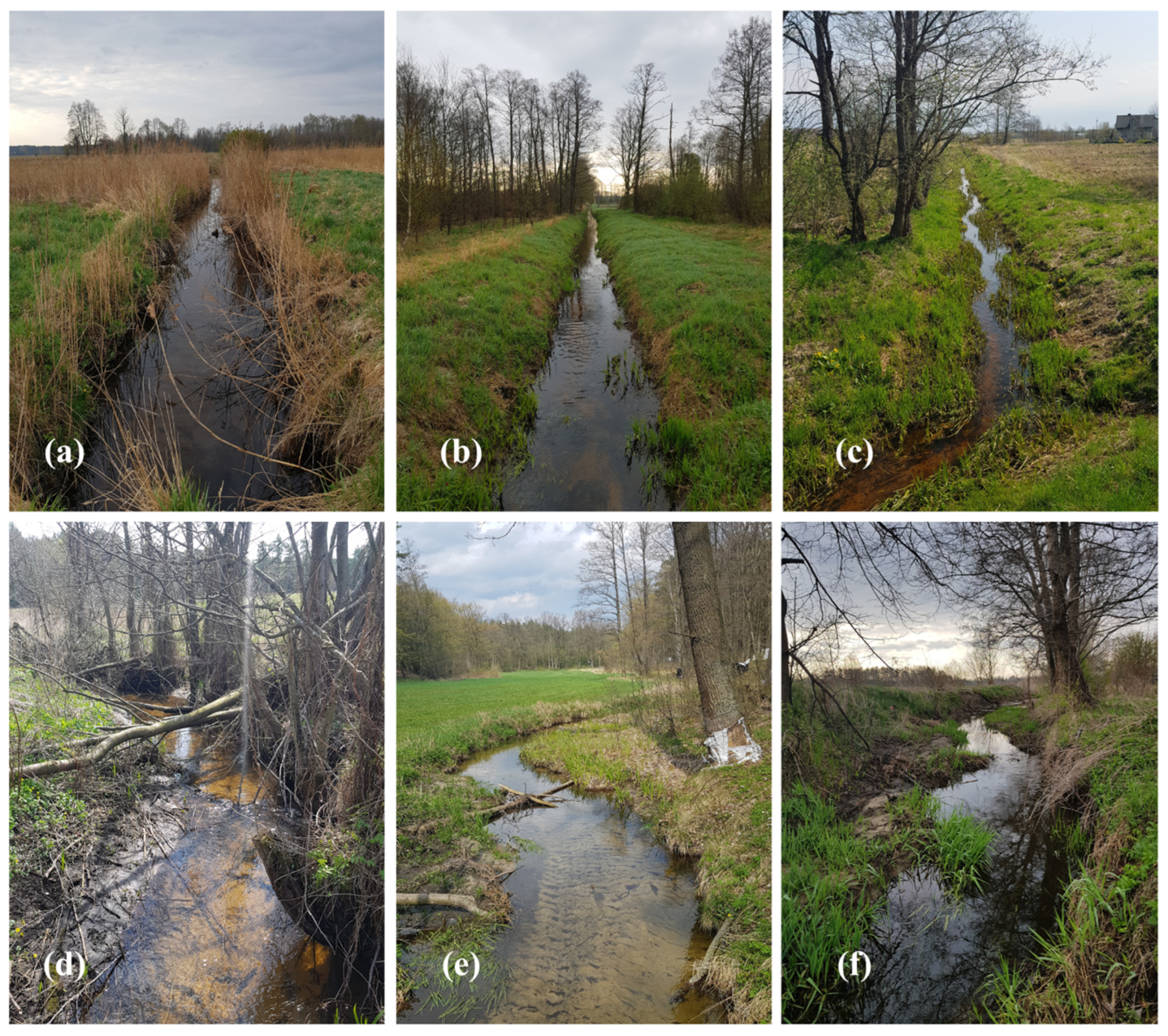 Water 18 00843 g003 Water 18 00843 g003