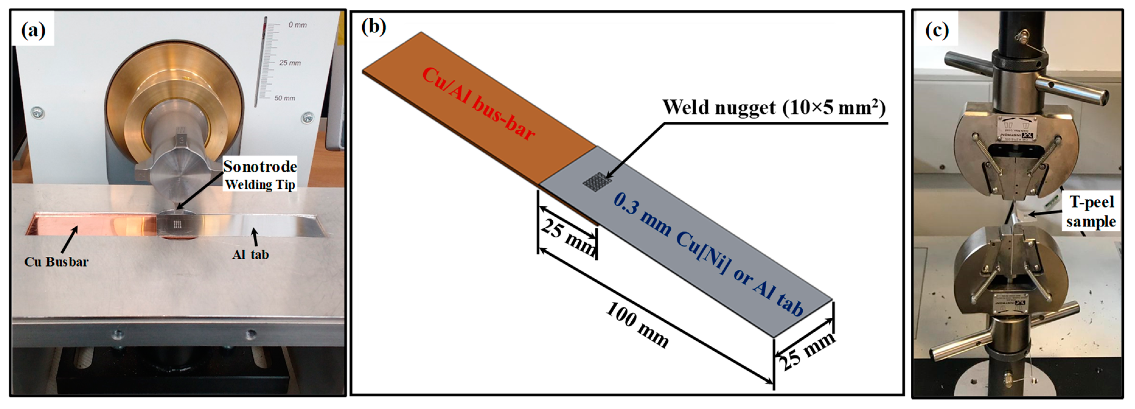Wevj 10 00055 g001 Wevj 10 00055 g001