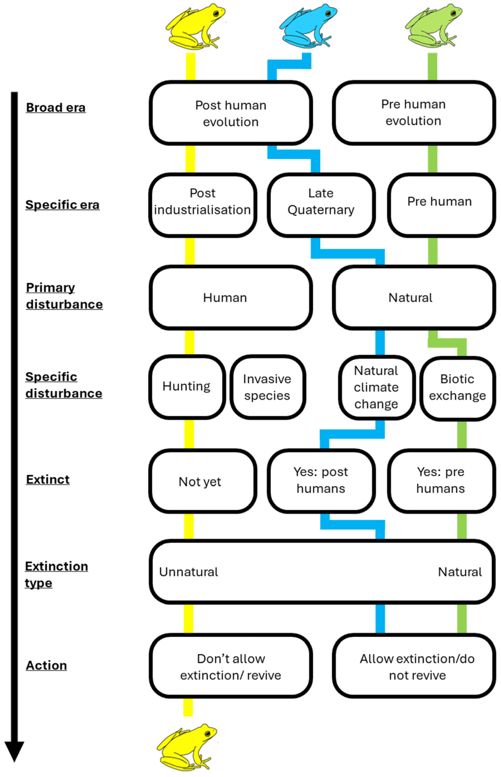 Wild 02 00039 g001 Wild 02 00039 g001