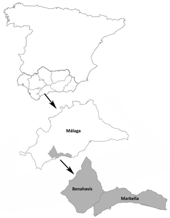 General location of the study area within the municipalities of Benahavís and Marbella (Málaga province, southern Spain).